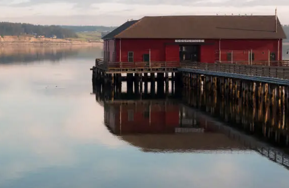 Screenshot 2026-01-02 at 11.06.14 AM.png