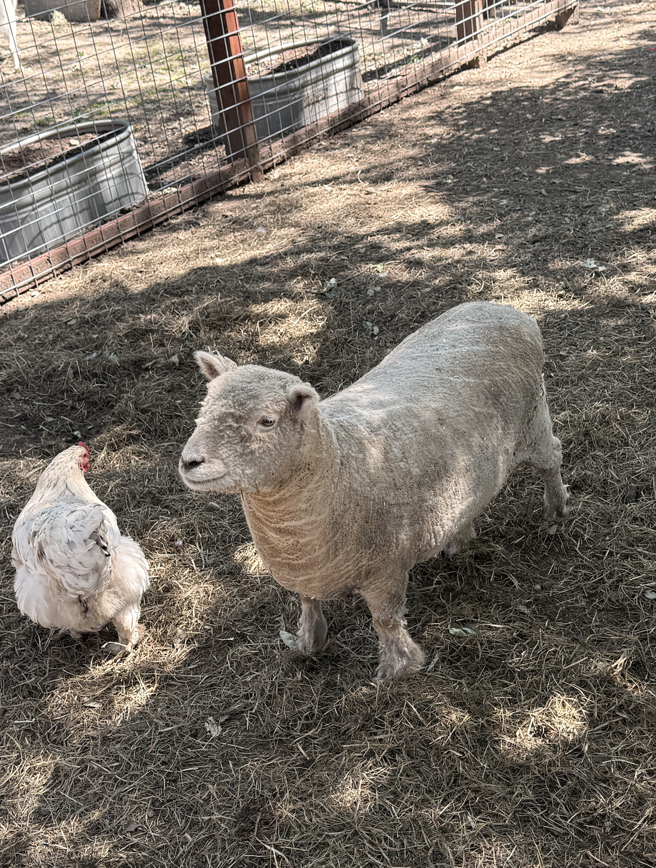 Screenshot 2026-04-21 at 8.01.06 AM.png