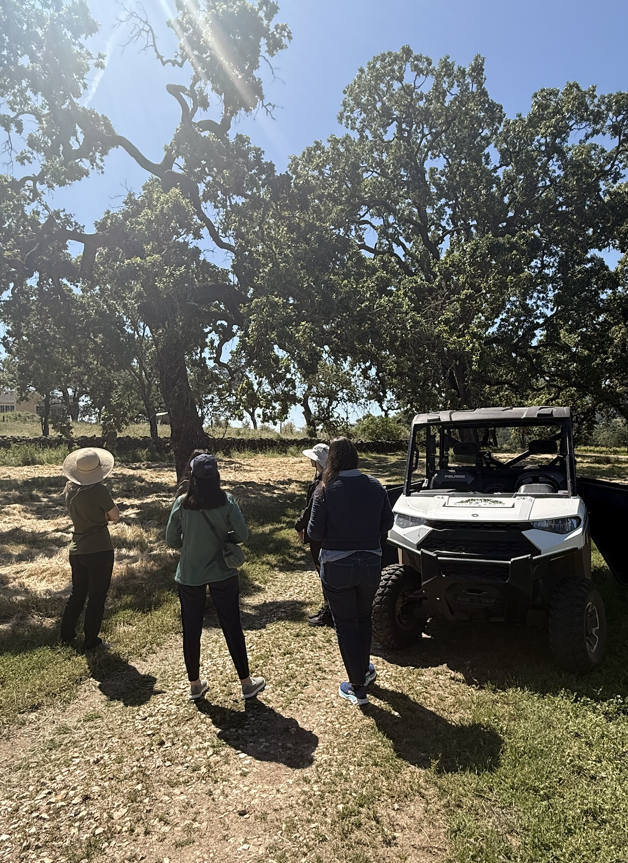 Screenshot 2026-04-21 at 8.00.42 AM.png