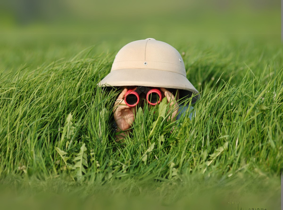 In the Weeds with You