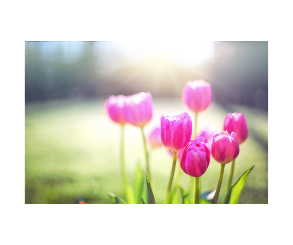 Spring Time Skin Tightening for Summer