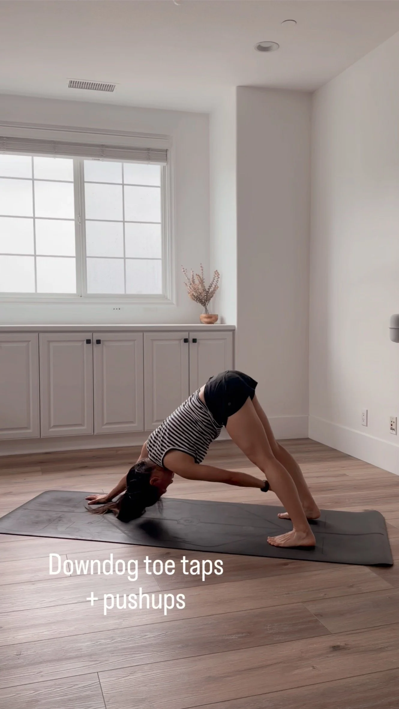 Down Dog Toe Taps + Pushups