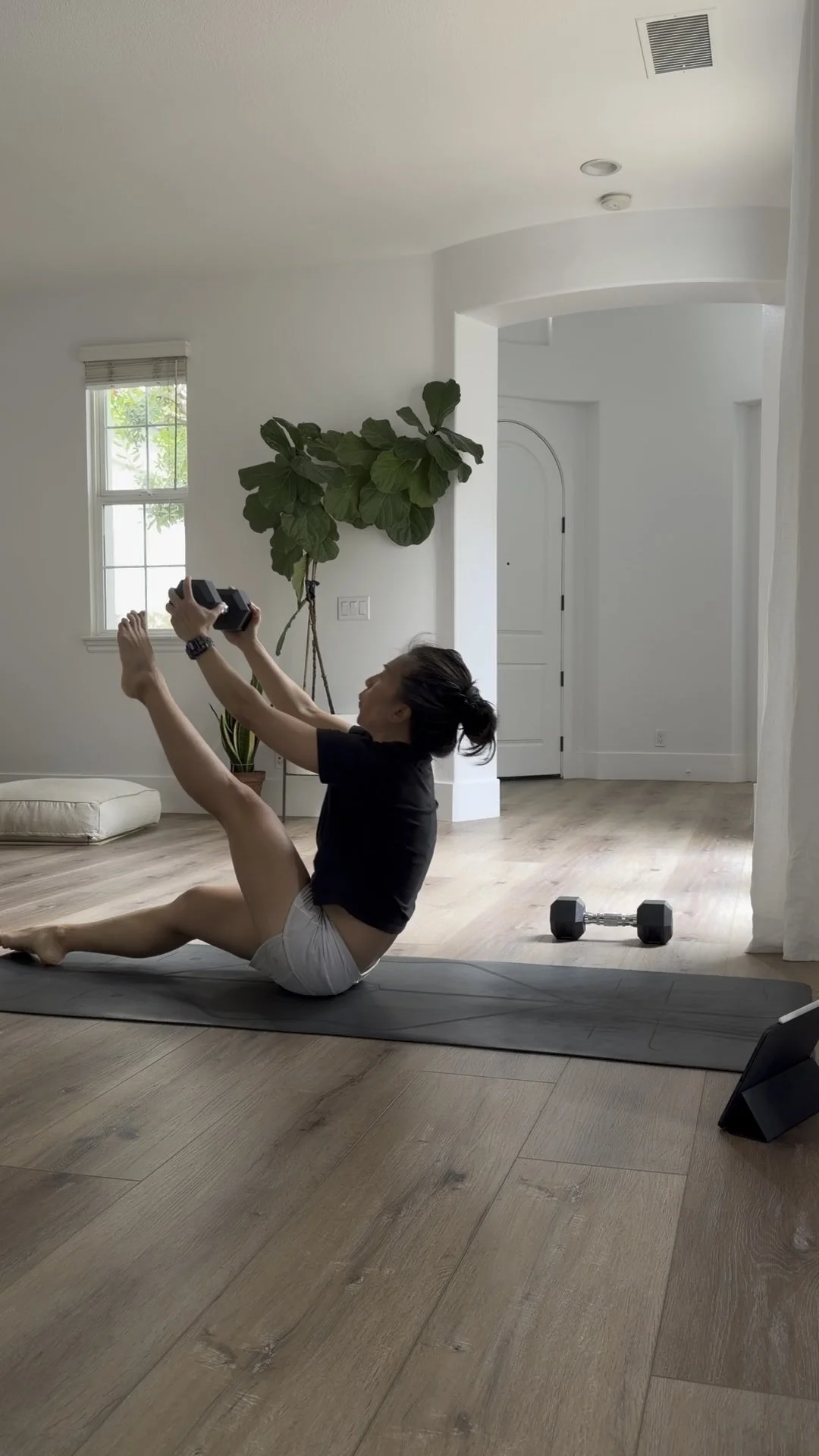 5 Minute Core: 1 Dumbbell 