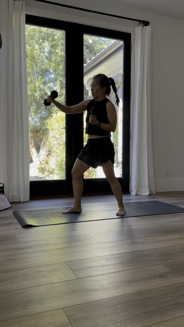 4 Punches - Push Up - 4 Shoulder Taps 