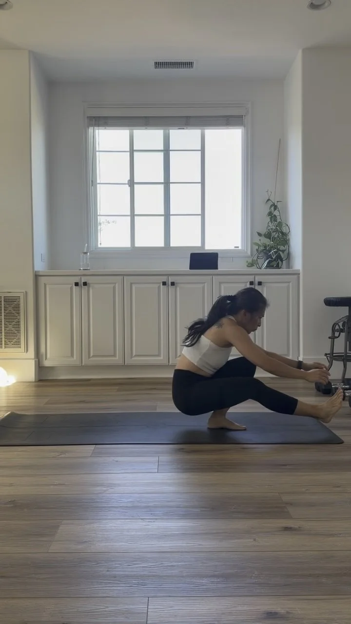 Pistol Squat Transitions
