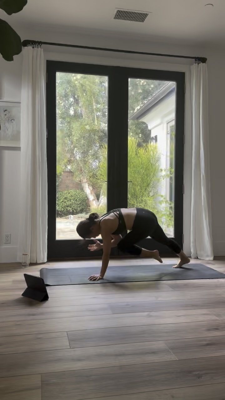 Plank Knee to Elbow Progression