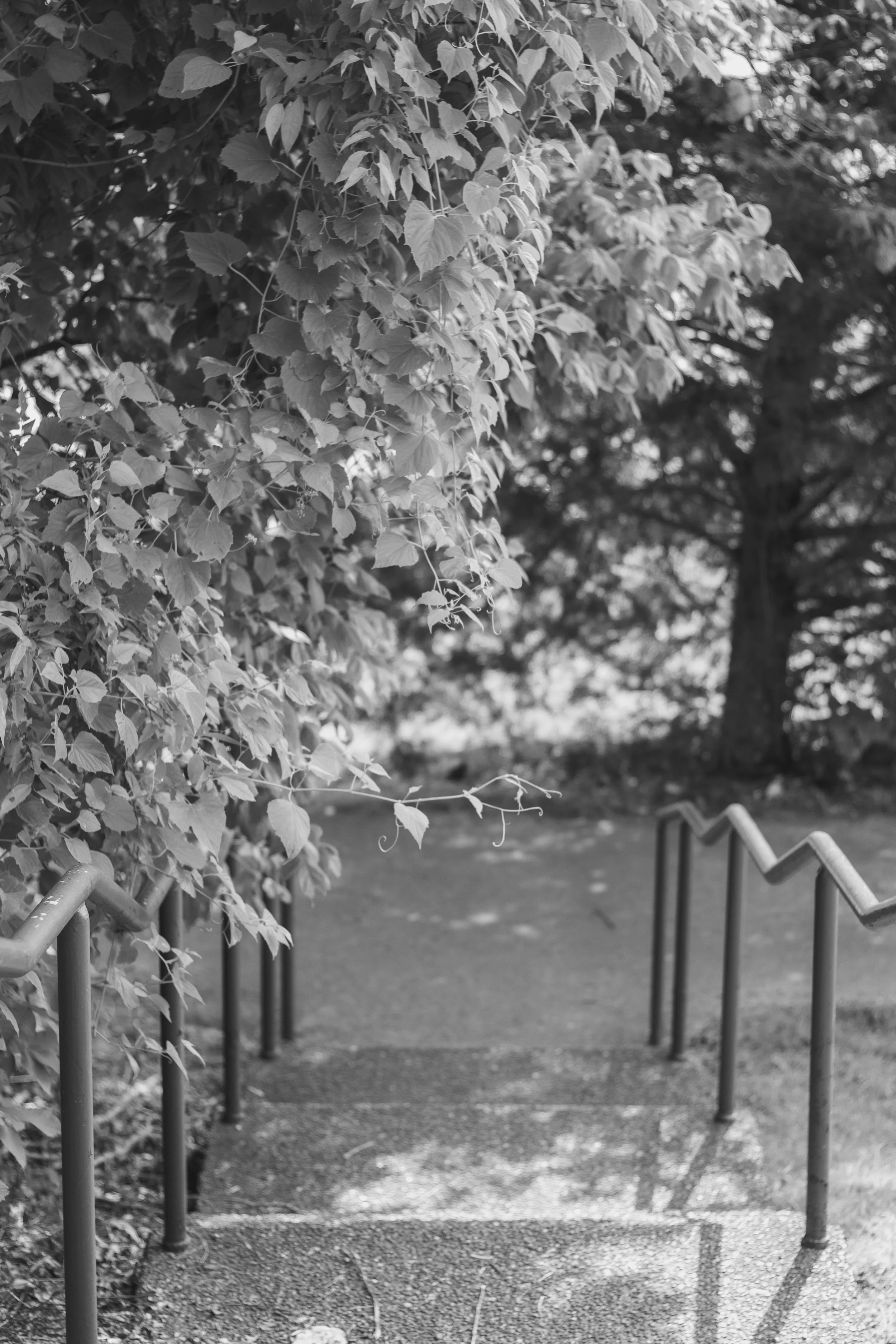 _MG_1802.jpg