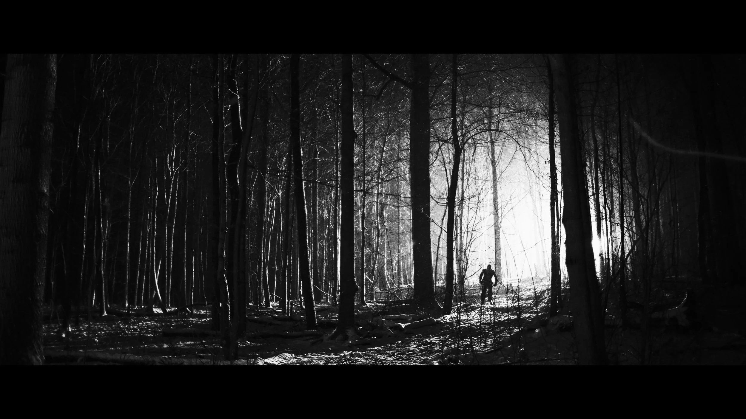 NOISE OF THE NIGHT - Fashion