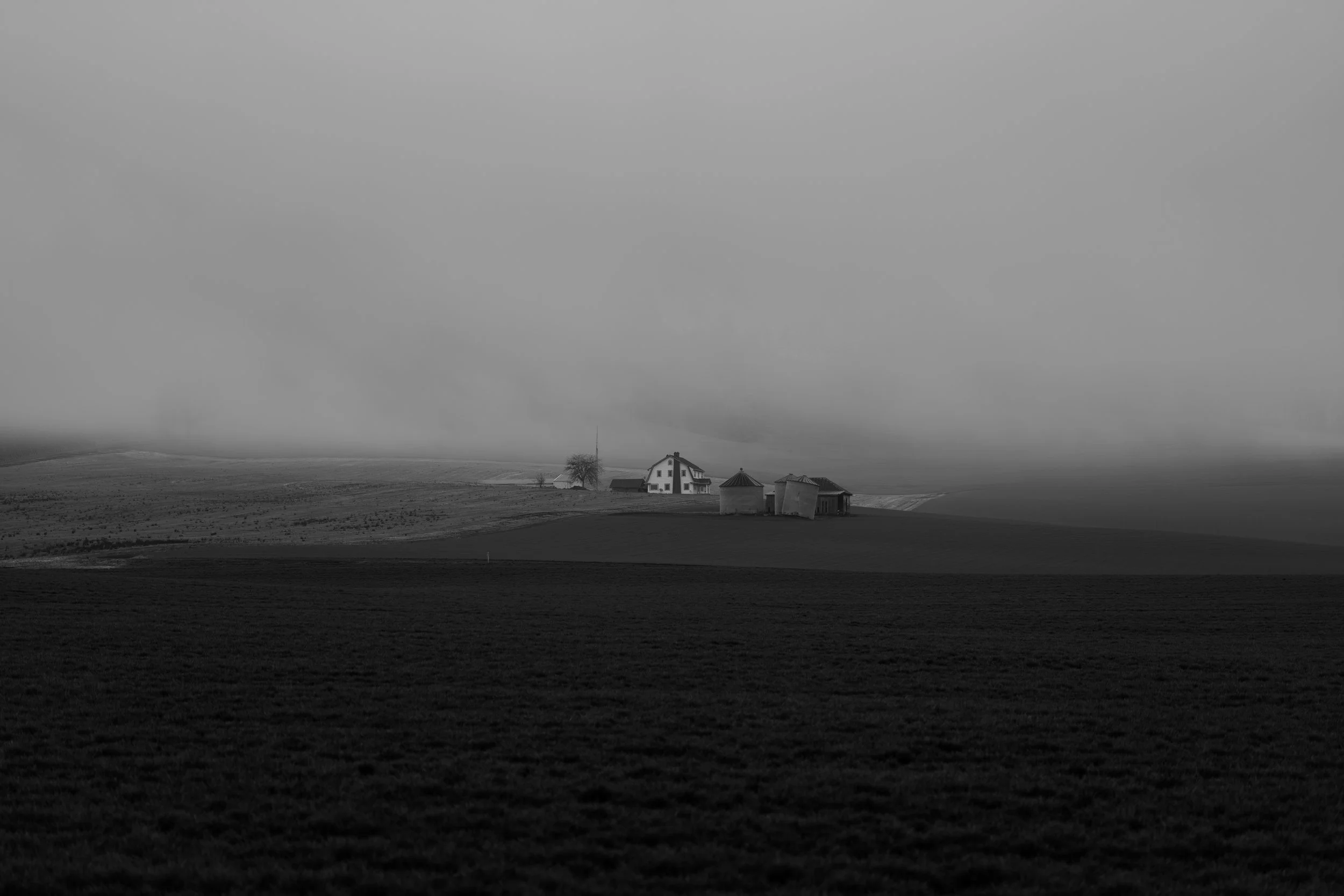 DSC07850.jpg