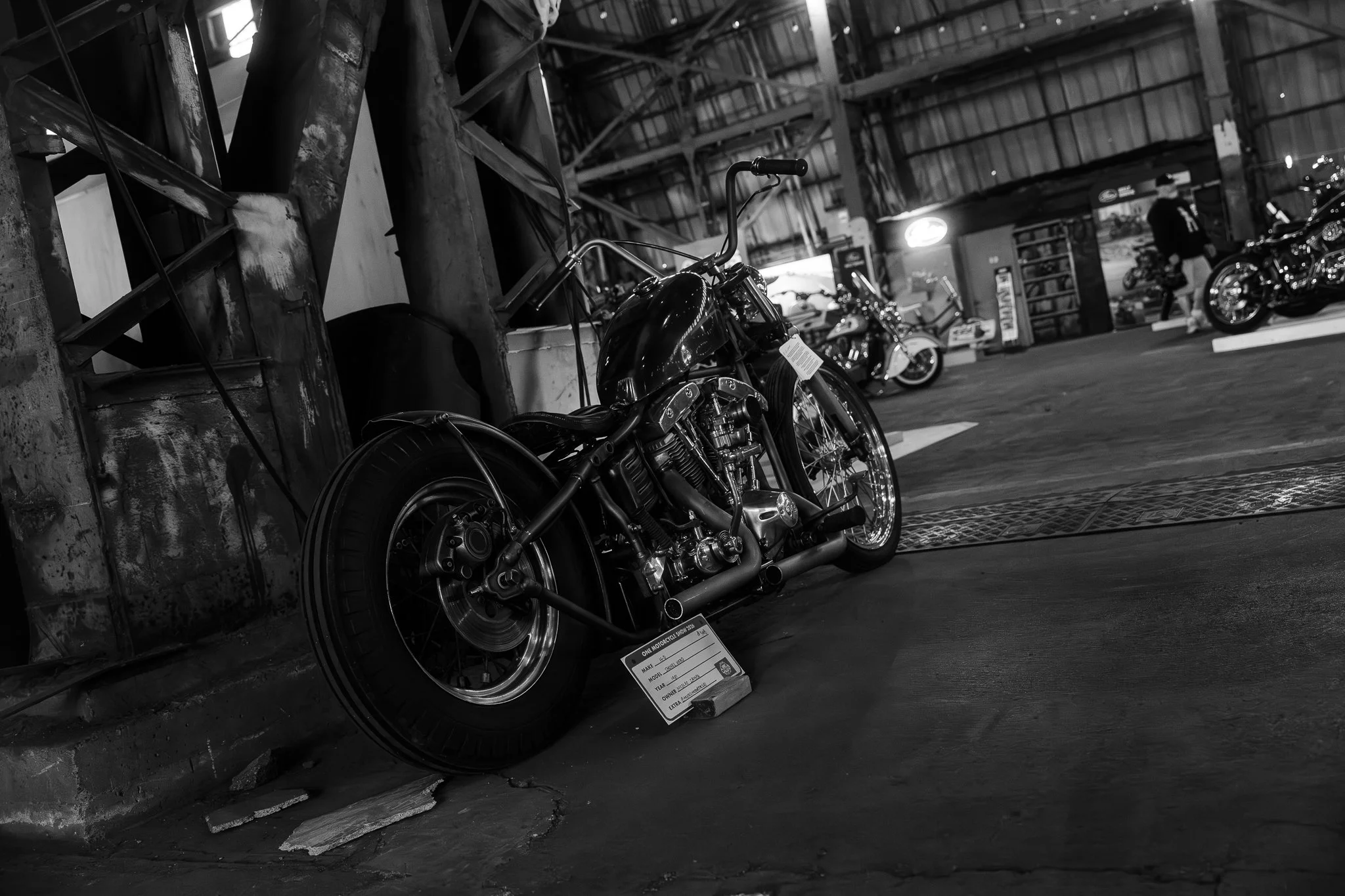 DSC08495.jpg