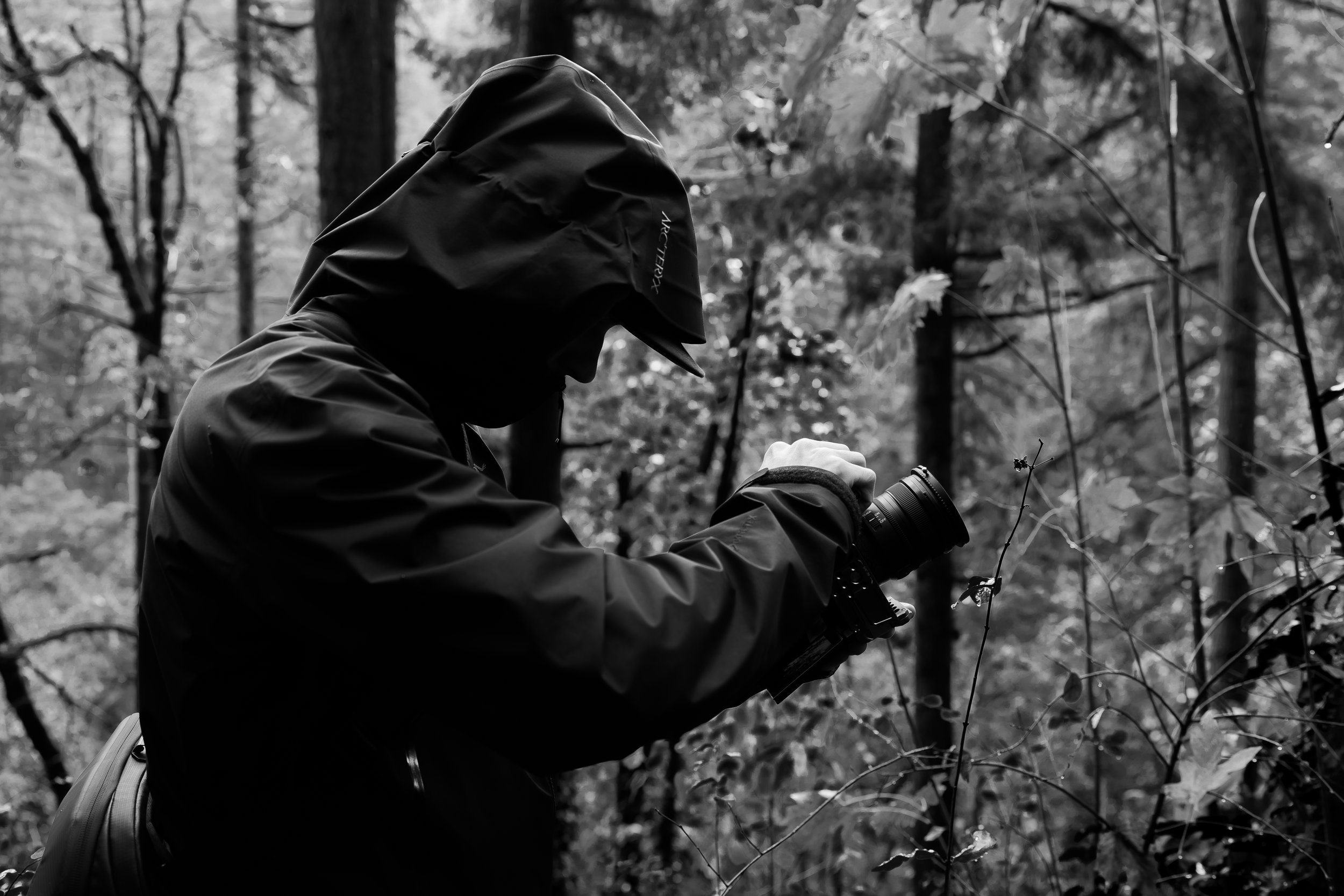Person wearing a rain jacket and hood, taking photos with a camera in a dense forest.