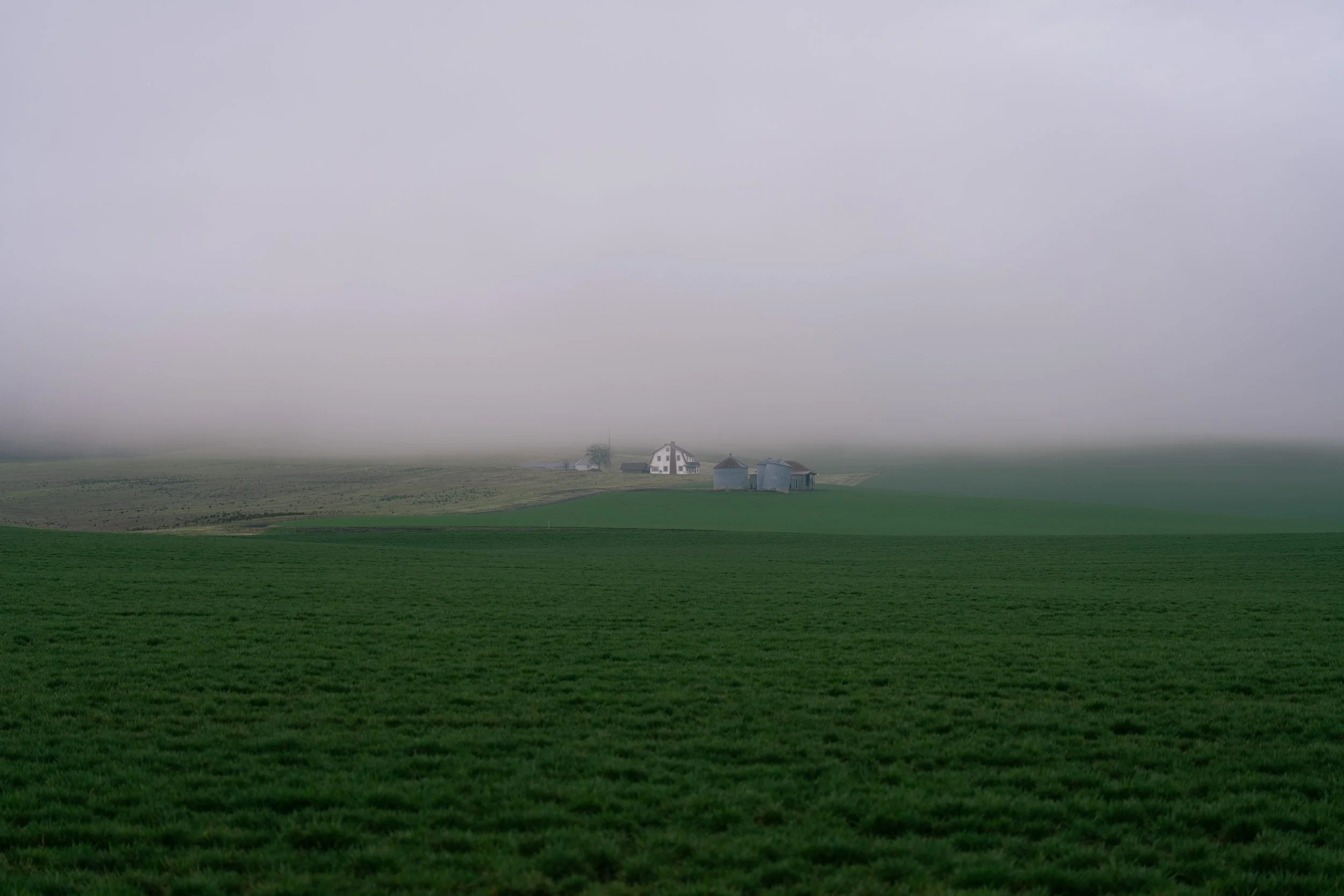 DSC07736.jpg