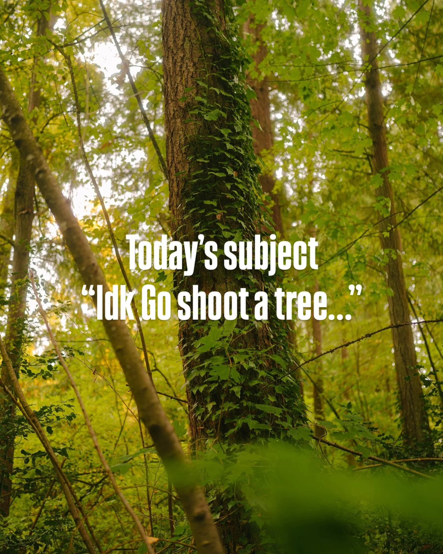 Starting a personal challenge I&rsquo;ve seen other photographers do, For 365 days (try to) shoot something different! Day 1&rsquo;s Subject is a Tree, gotta start easy right?
.
Vlog on shooting these coming soon!
Comment something I should take a pi
