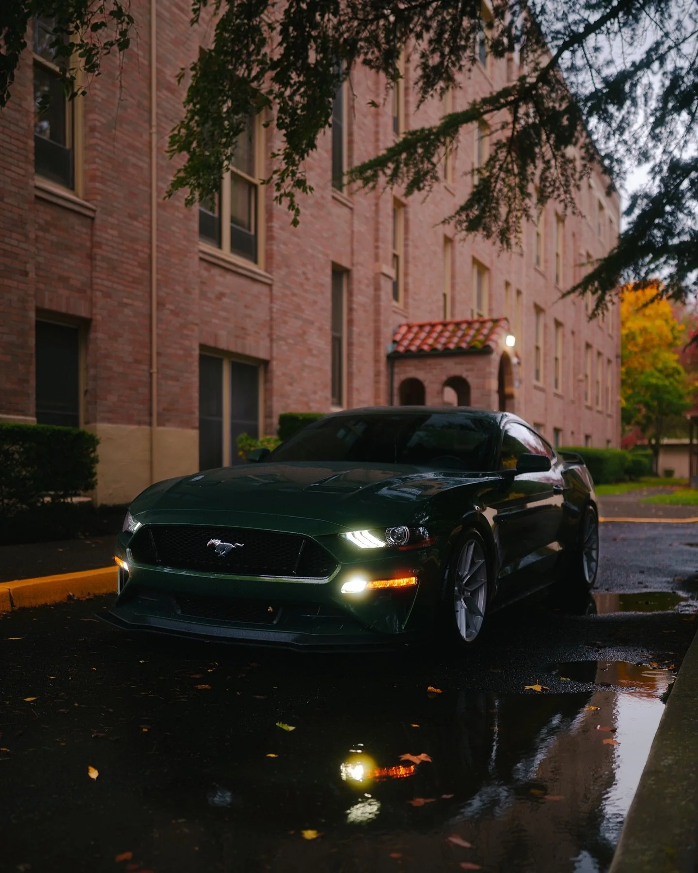 Another mustang post for ya figure I&rsquo;ll post all 3, then all 3 if u know what I mean!
.
Let me know what you guys think down below, I love how the silver wheels hit on the green paint this build is awesome!
.
Shot on my @sonyalpha A7CR with my 