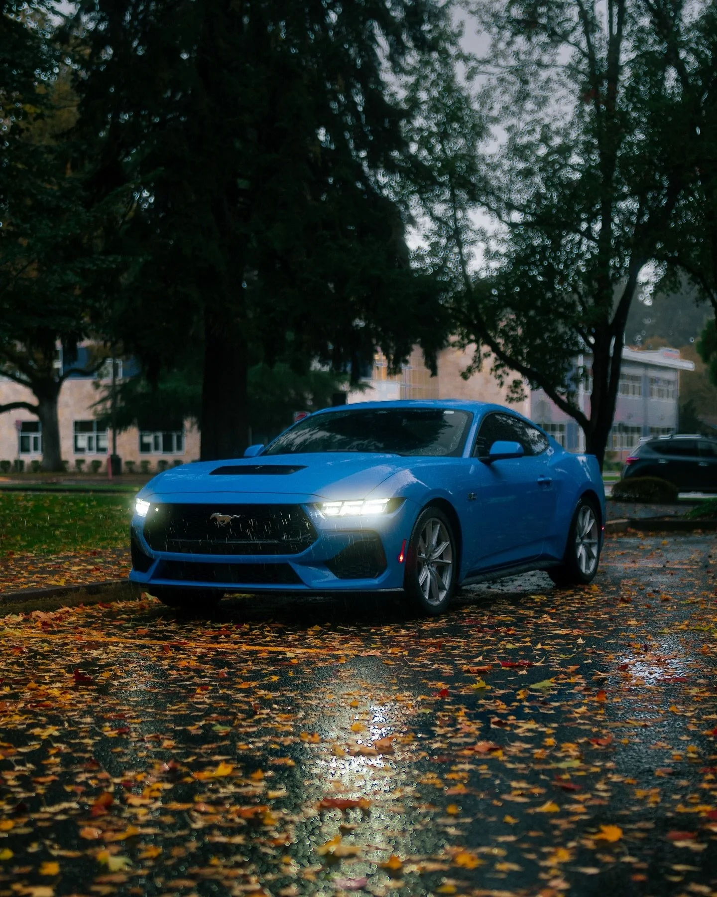 3/3 mustangs how about tomorrow I post all 3 together&hellip;
.
Quick last minute spot changes are always fun because it makes u think on your feet, and obviously ur spot changes a lot and u end off with something completely unexpected!
.
All these w