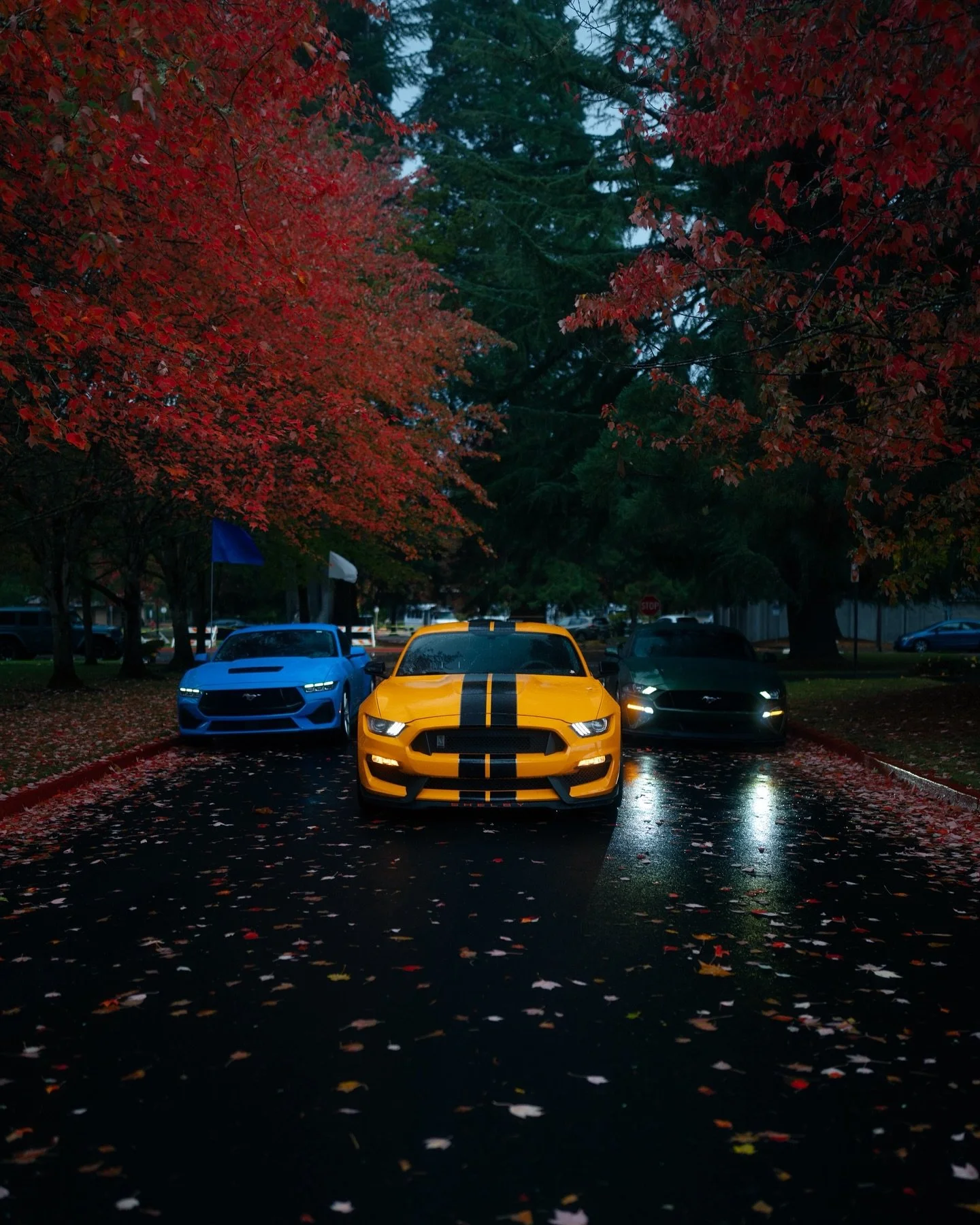 Which color is your favorite!
.
I couldn&rsquo;t decide between the yellow and green&hellip;
This locations is hella cool there was so many good spots to use!
.
All these pictures were shot on my @sonyalpha A7CR with a @sony 35mm GM lens and edited u