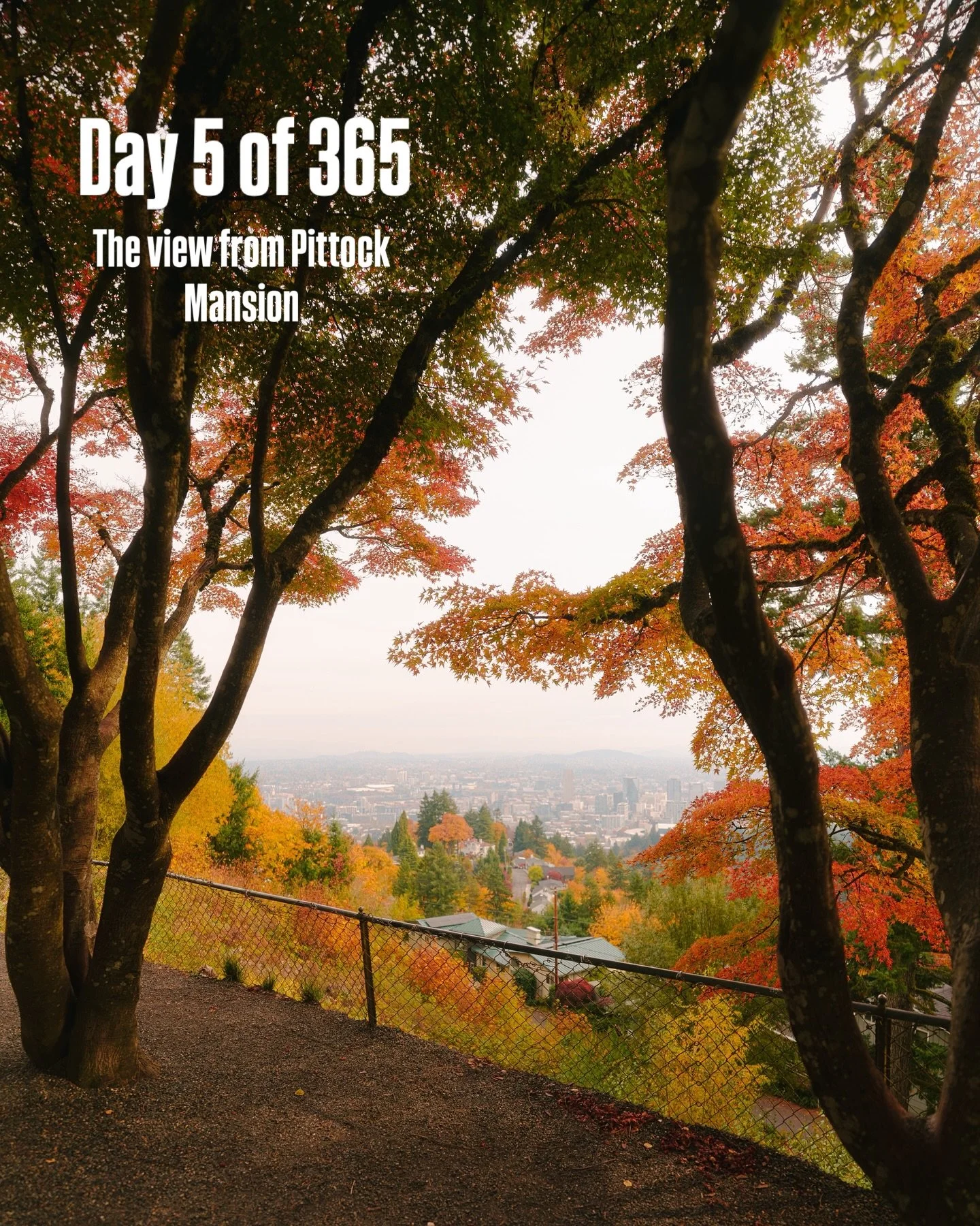 Photo challenge day 5 of 365 went to Pittock mansion and took some photos of the view, somehow I&rsquo;ve never been here&hellip; had to change my F stop on this day😅
.
Shot on my @sonyalpha A7CR with a @sony 16mm G and 35mm GM and edited with my @l