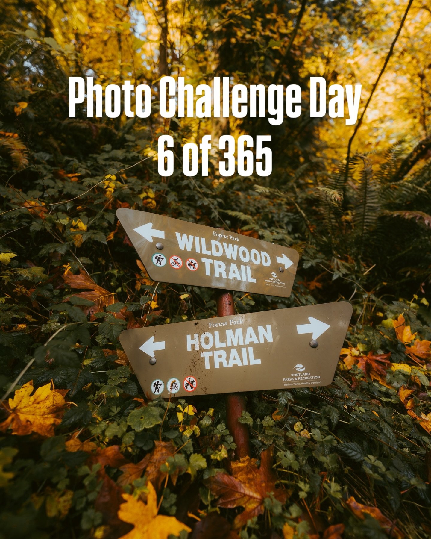 Photo challenge day 6 of 365 today subject was nature 
So we went on a hike on Wild wood trail I&rsquo;m gonna have to make this a to part post cause I go so many good photos on our hike!!!
.
All these were shot on my @sonyalpha A7CR with my @sony 16