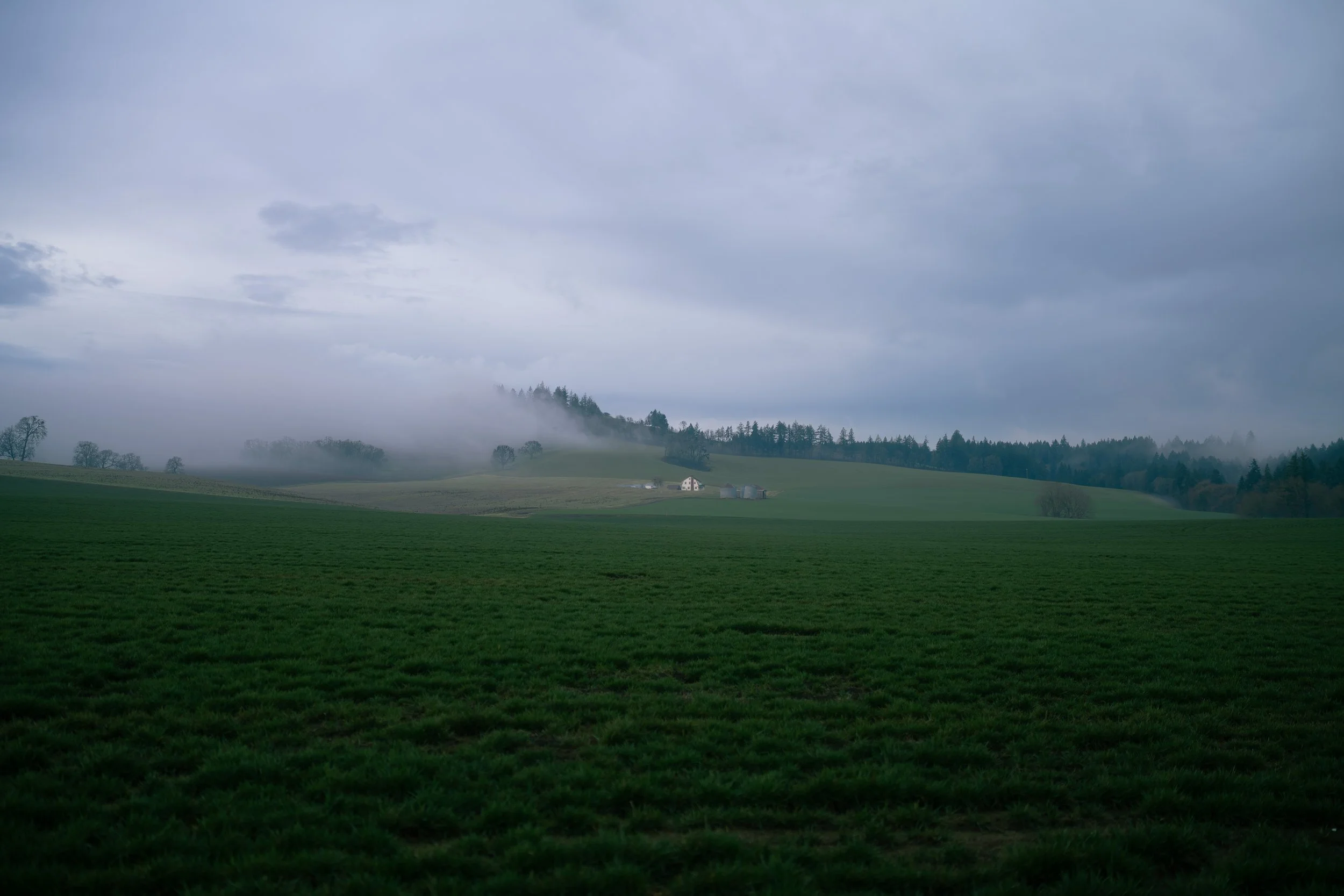 DSC07985.jpg