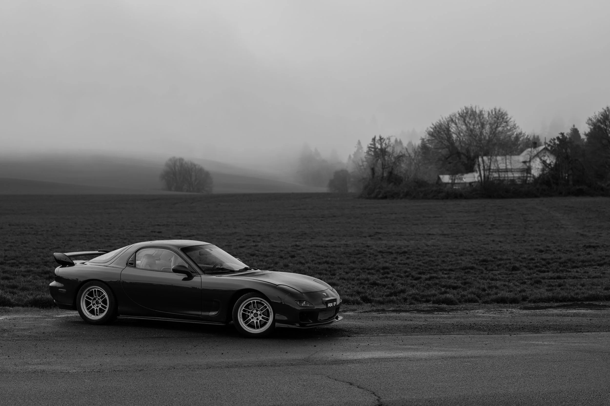 DSC07833.jpg