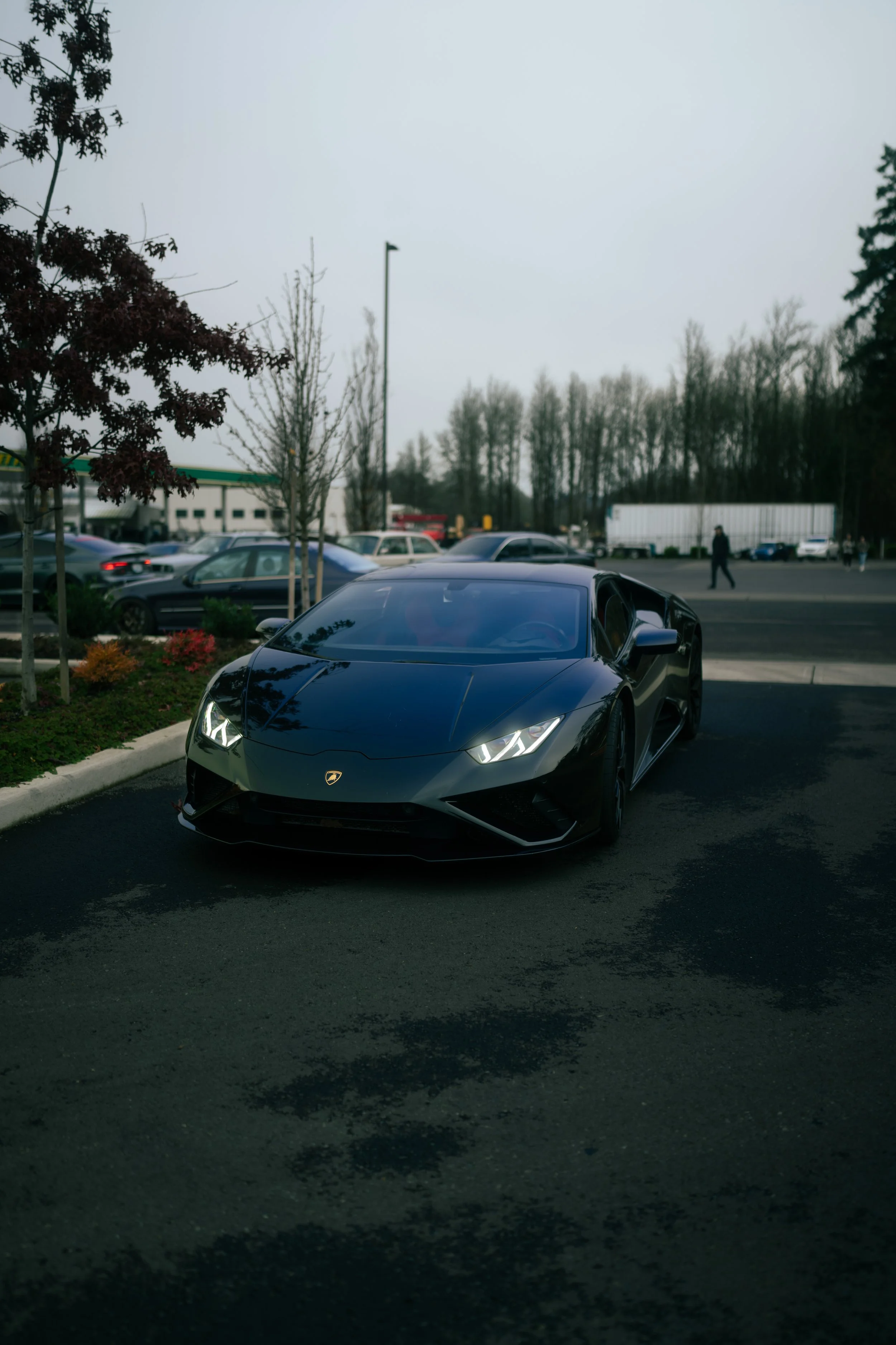 DSC04803.jpg