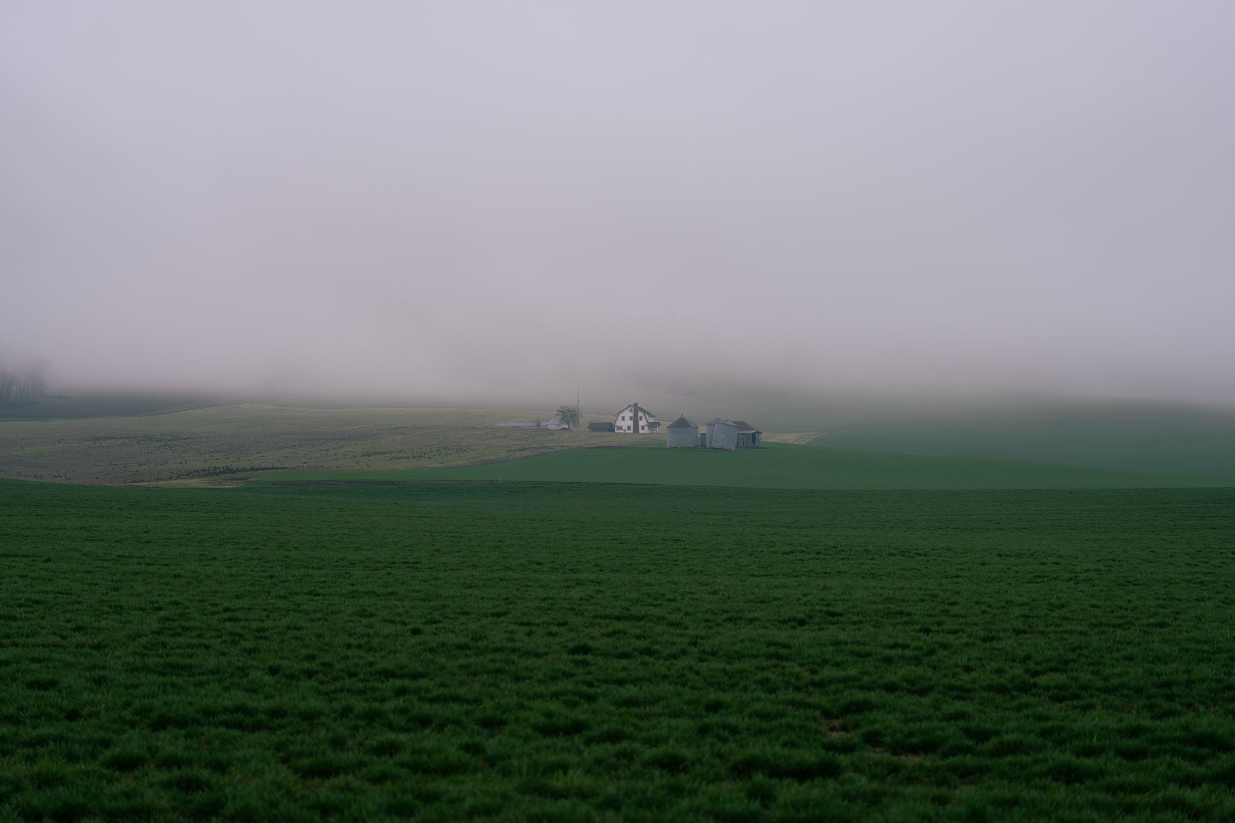 DSC07847.jpg