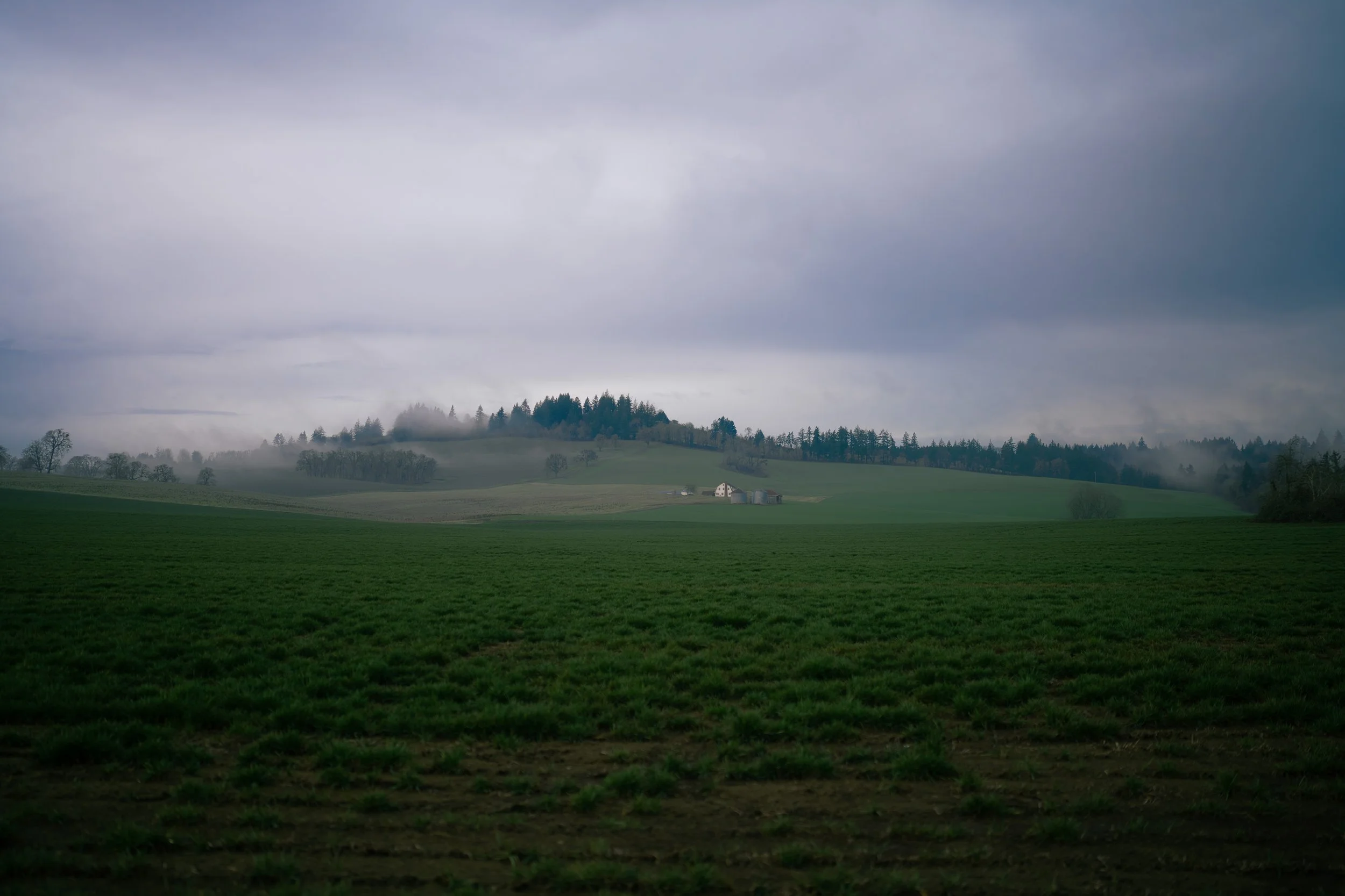 DSC07950.jpg