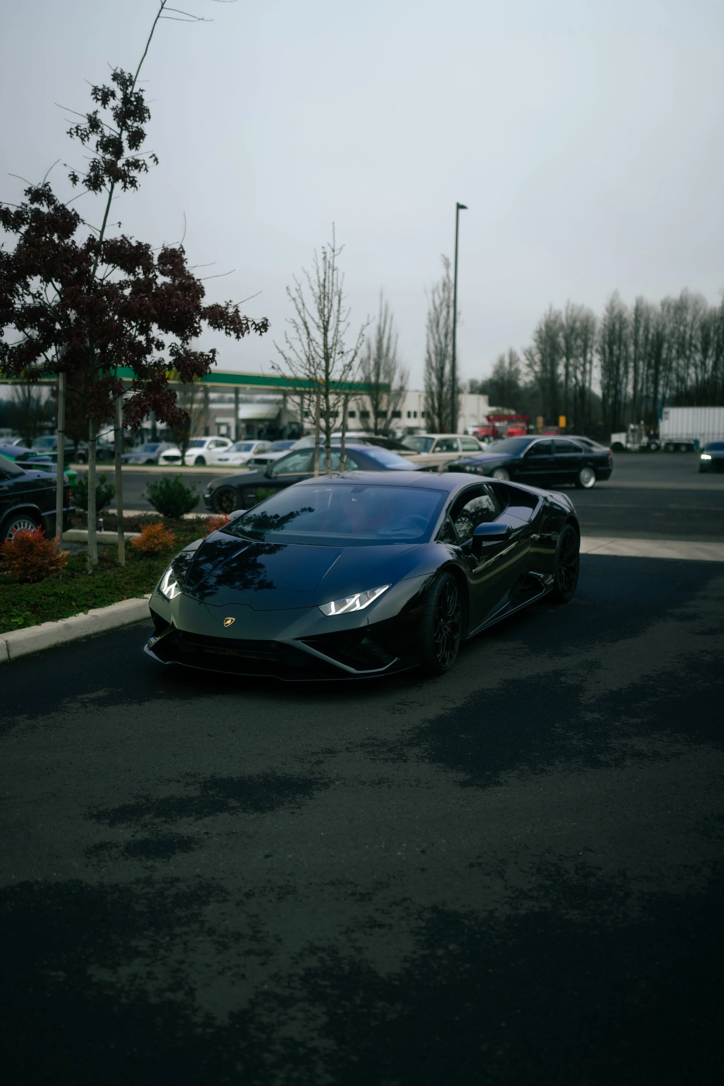 DSC04798.jpg