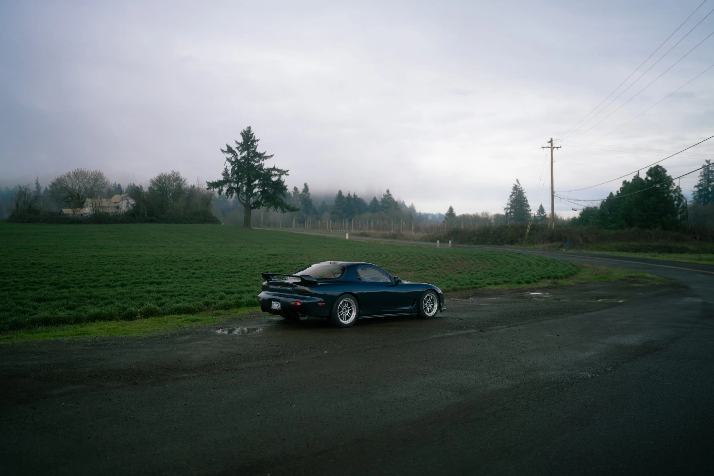 DSC07878.jpg