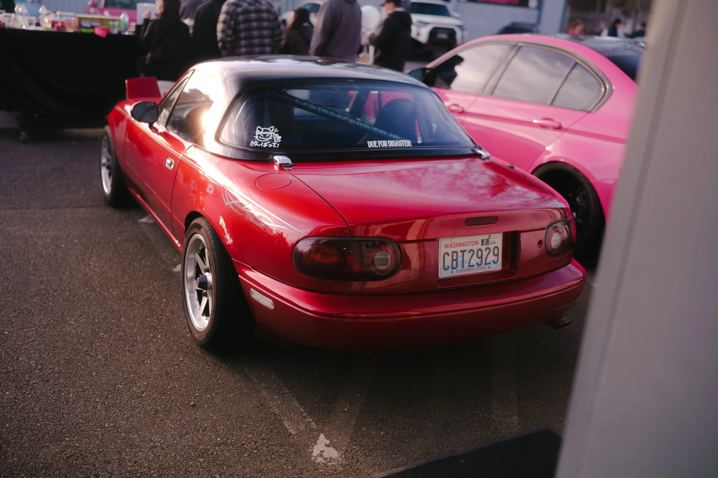 DSC03453.jpg