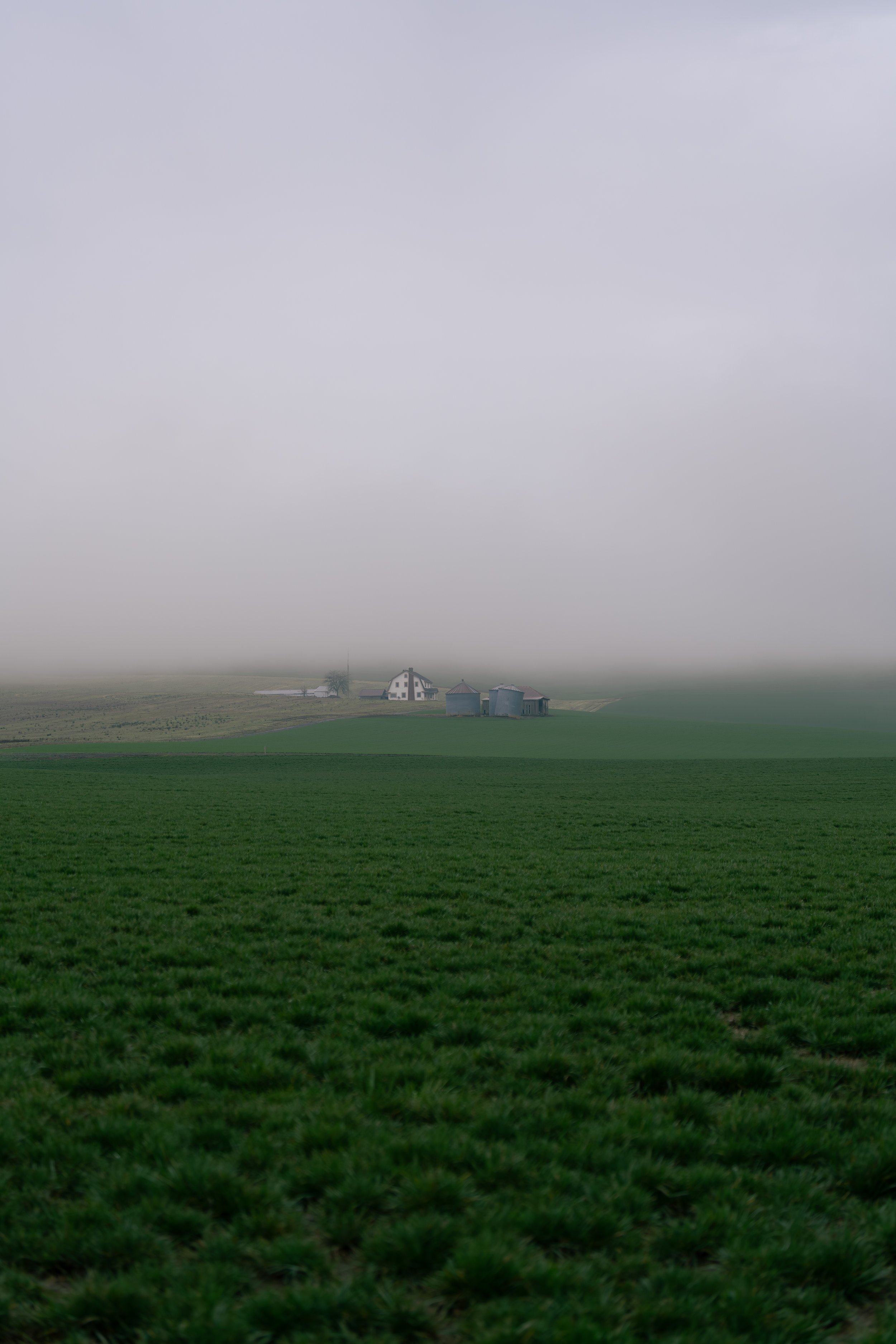 DSC07746.jpg
