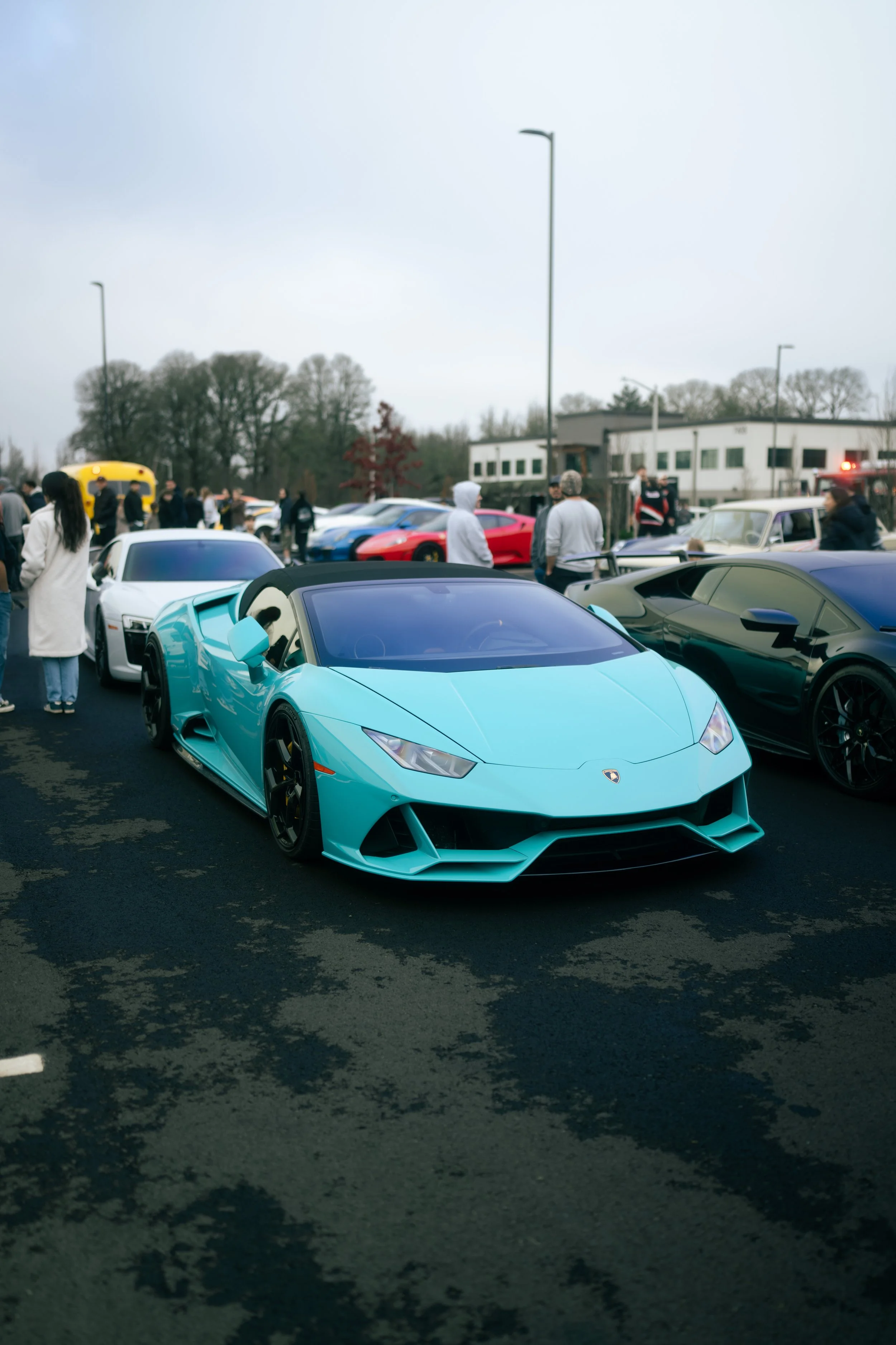 DSC04710.jpg