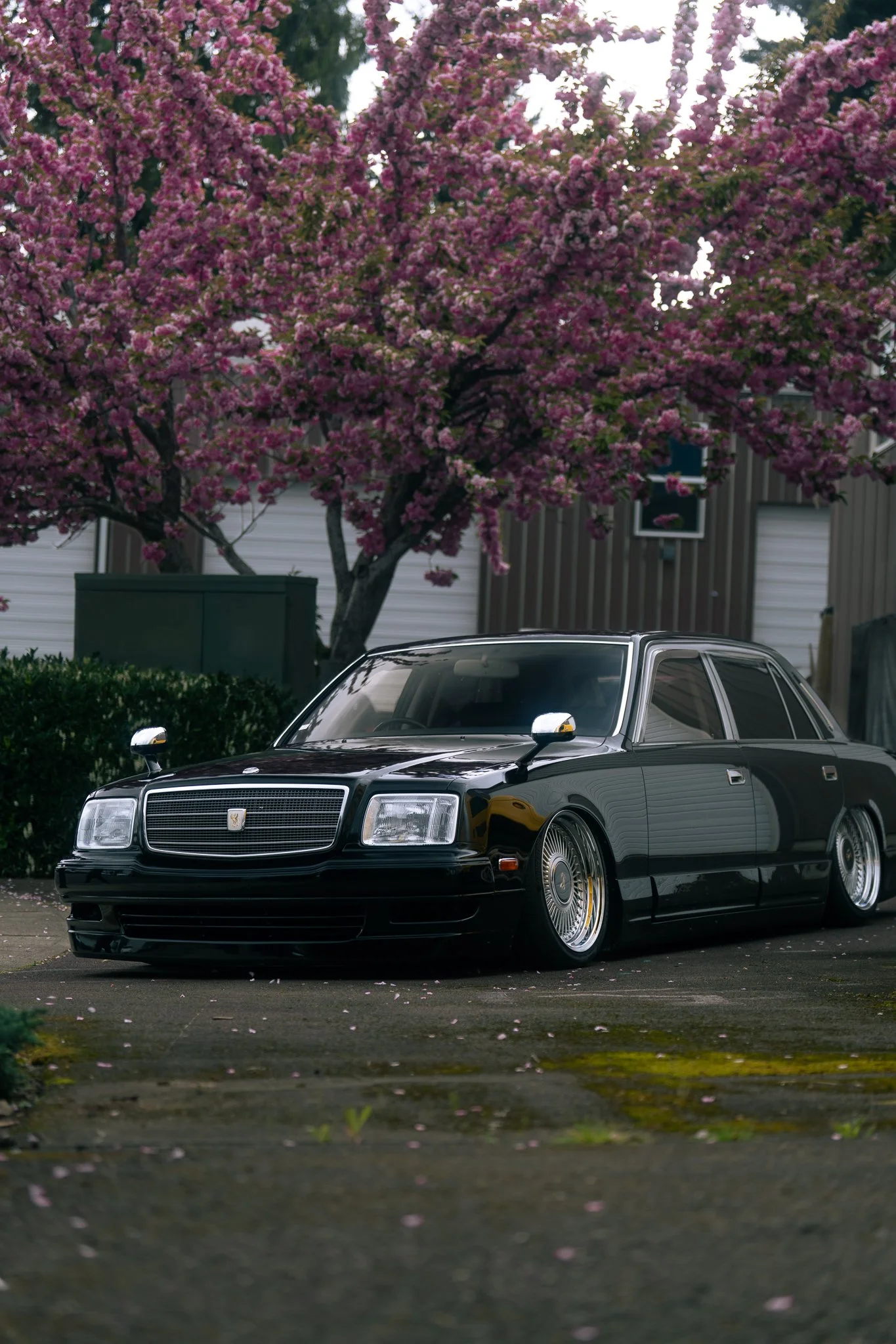 5iveStarMedia Private Carmeet