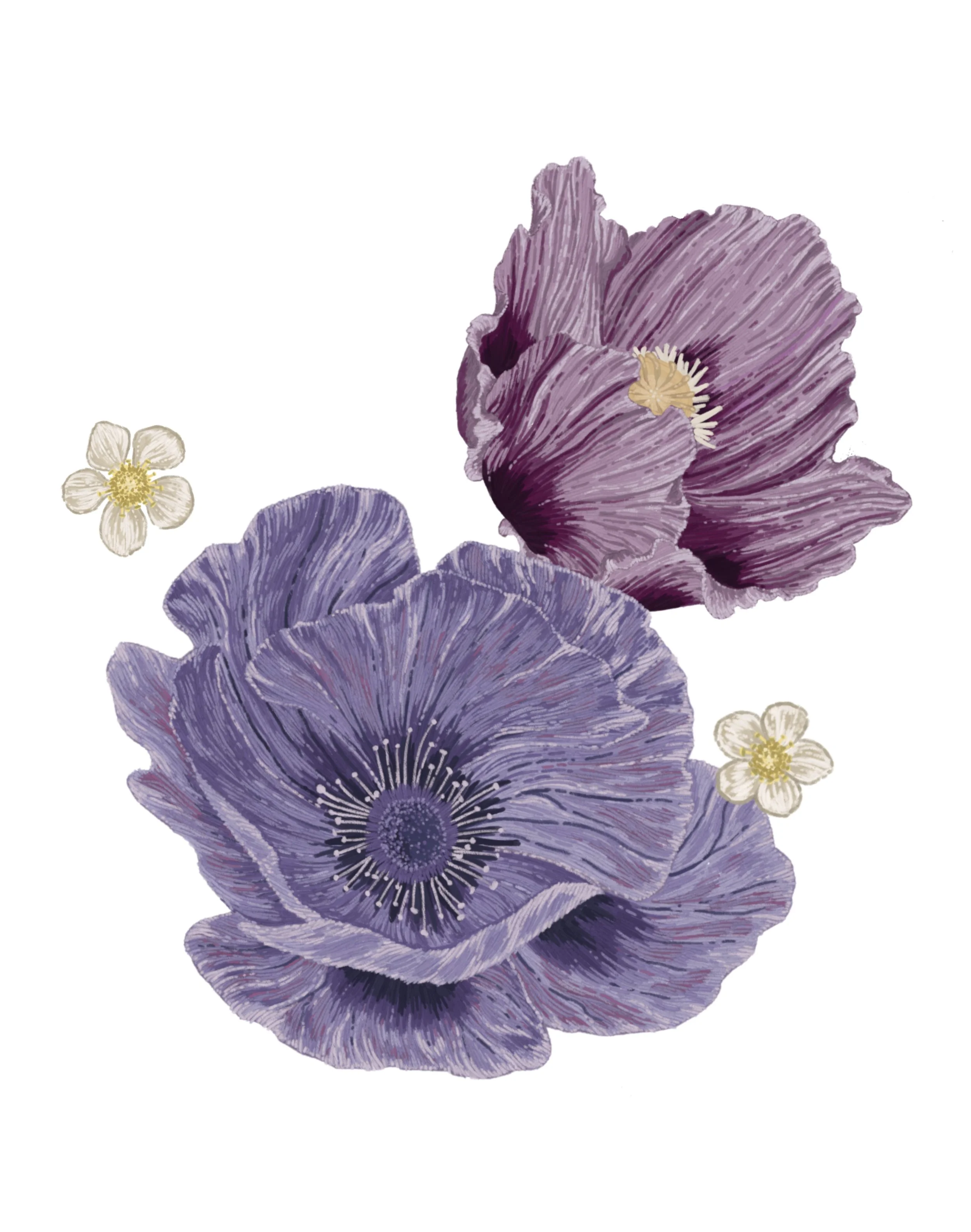 Colour corrected today.JPG