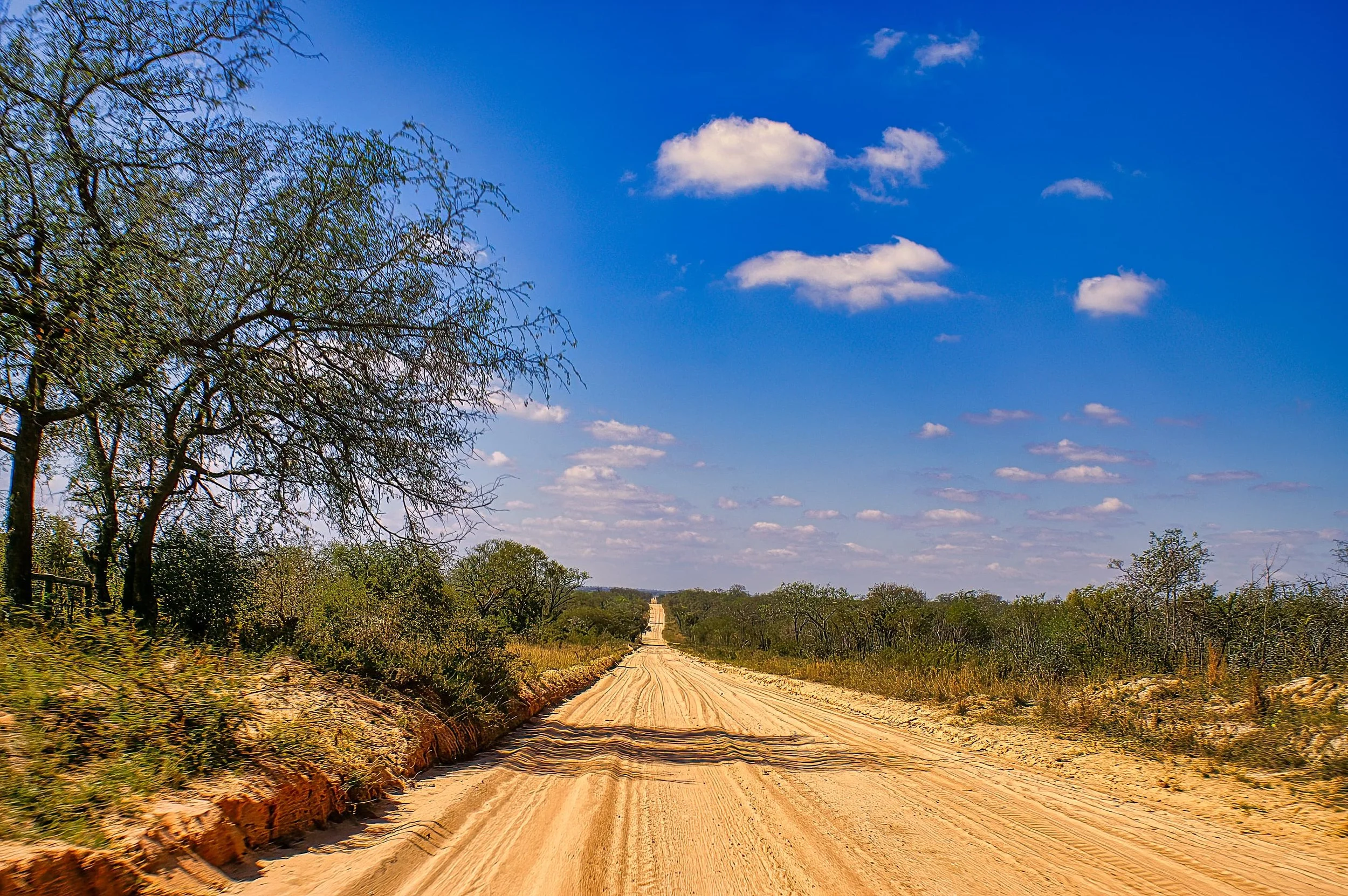 Zuid-Afrika Sabie Sand_0255-bewerkt-2-bewerkt.jpg