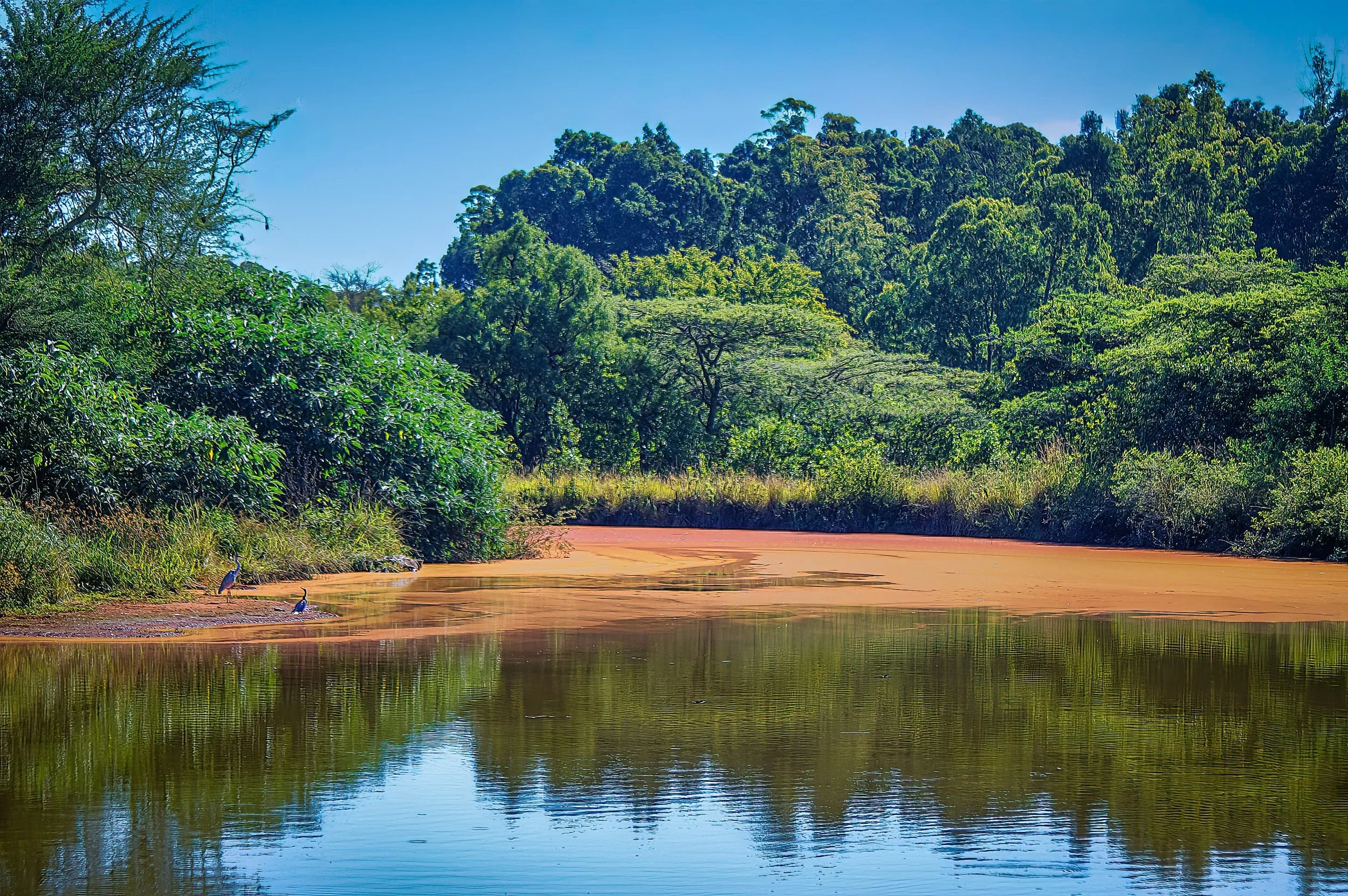 Zuid-Afrika Swaziland_0217-bewerkt.jpg