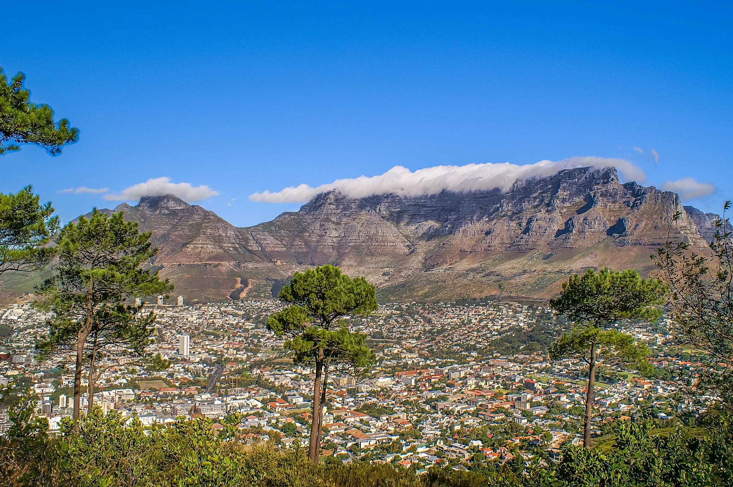 Zuid-Afrika Kaapstad_0007-bewerkt.jpg