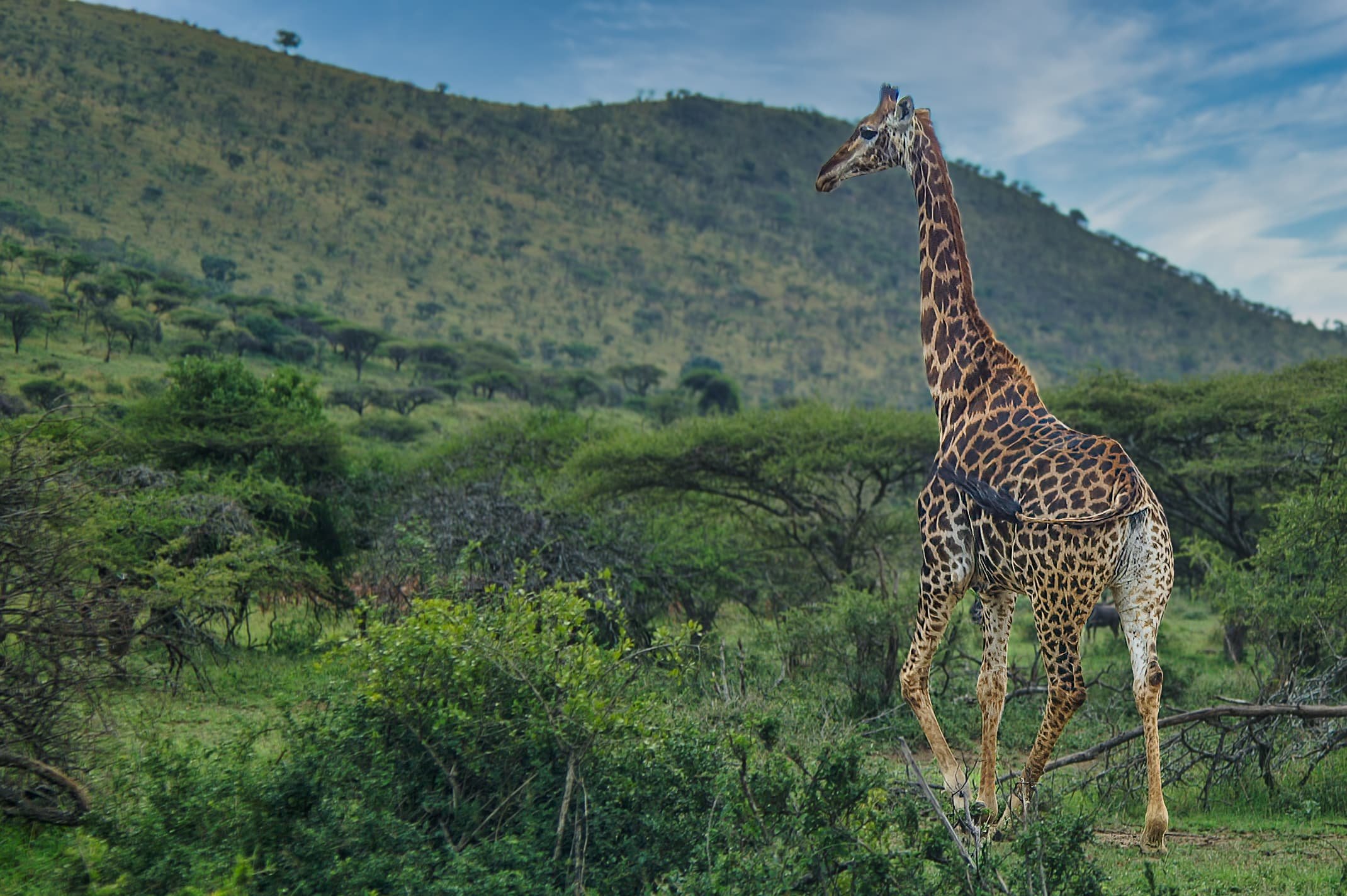 Zuid-Afrika St Lucia_0153-bewerkt.jpg