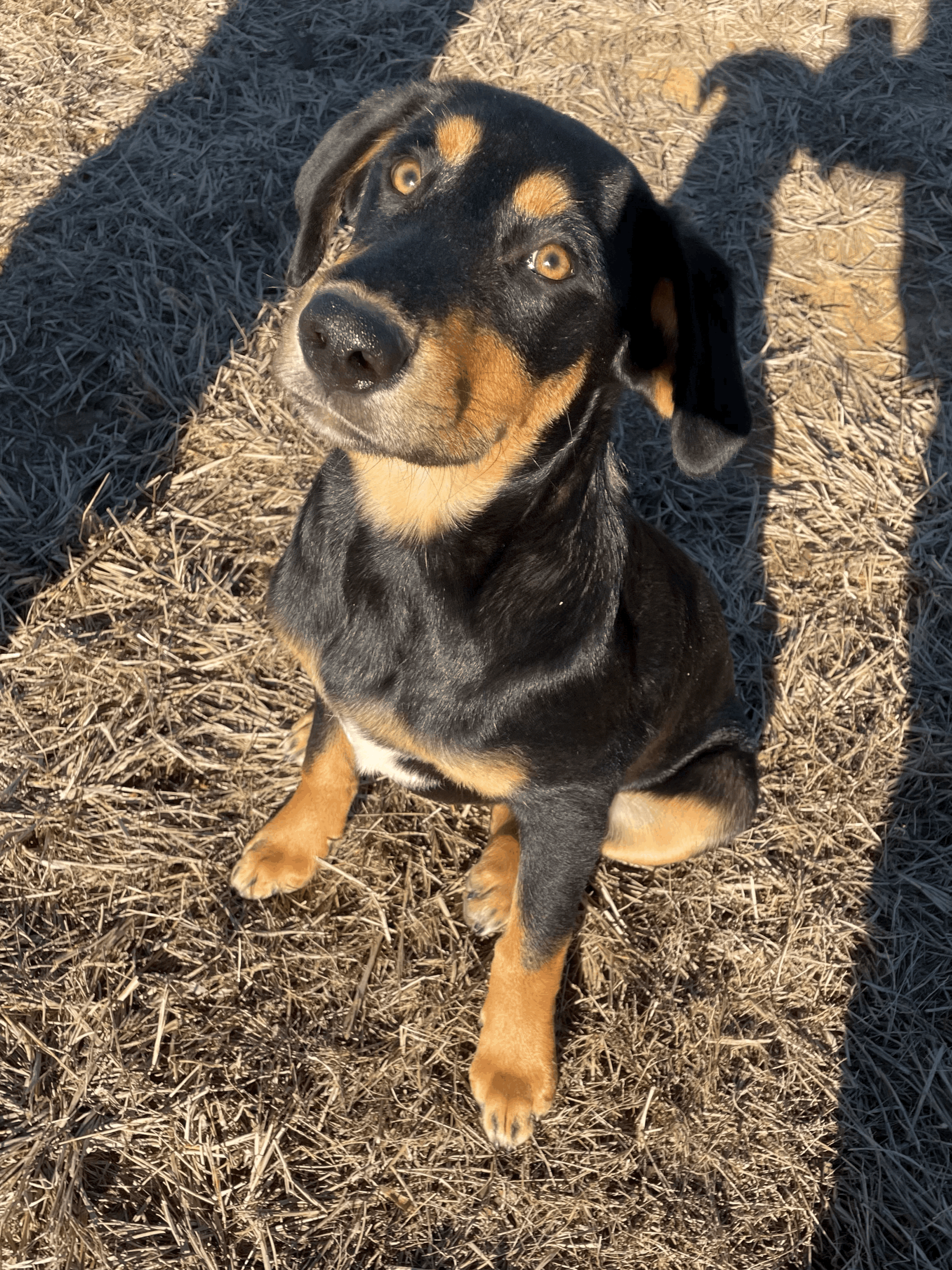 Murphy