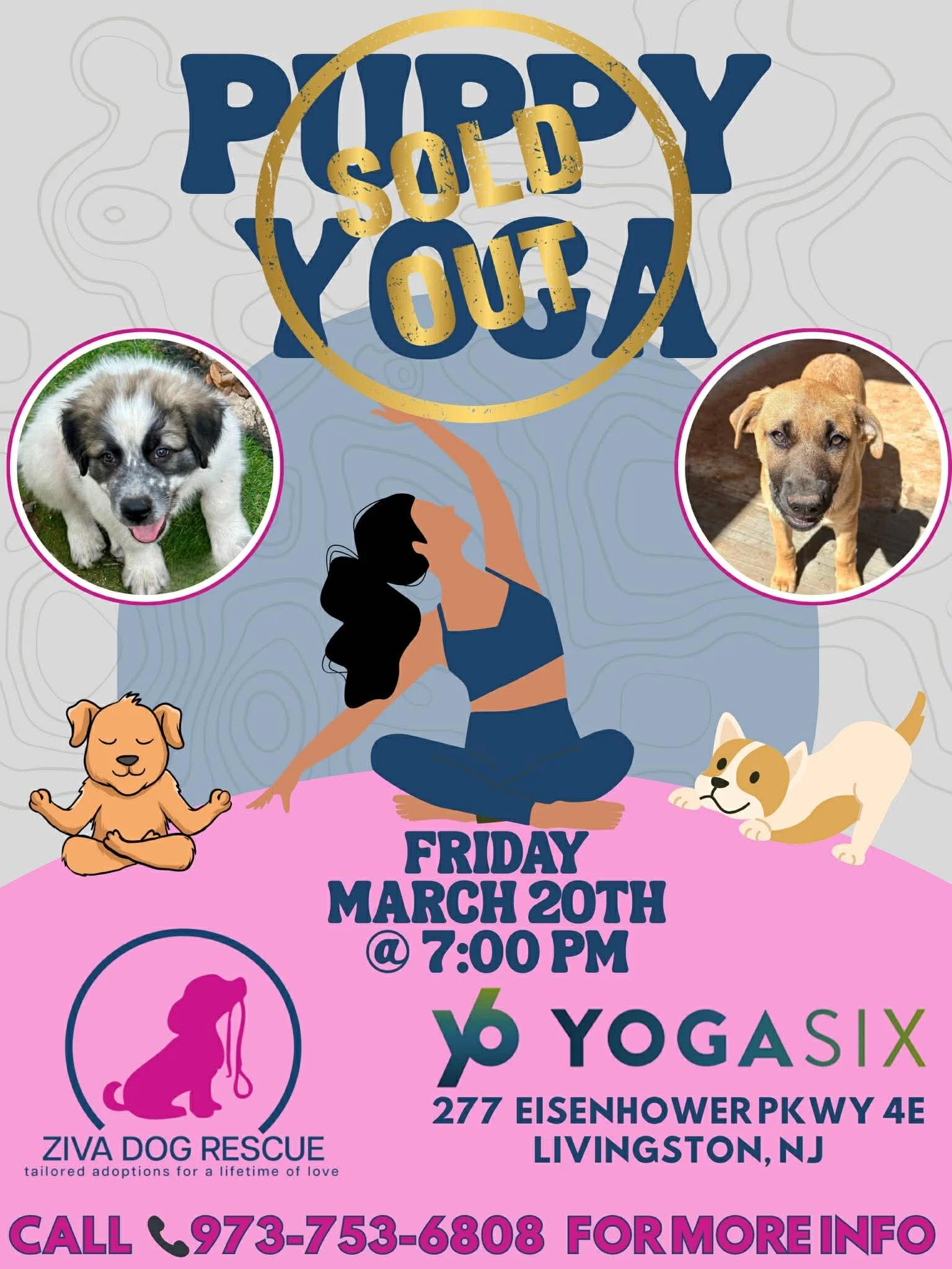 Puppy Yoga with YogaSix!