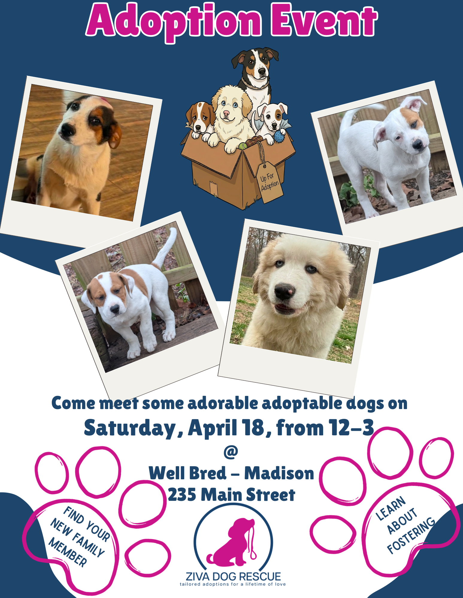 Meet &amp; Greet @ Madison Well Bred