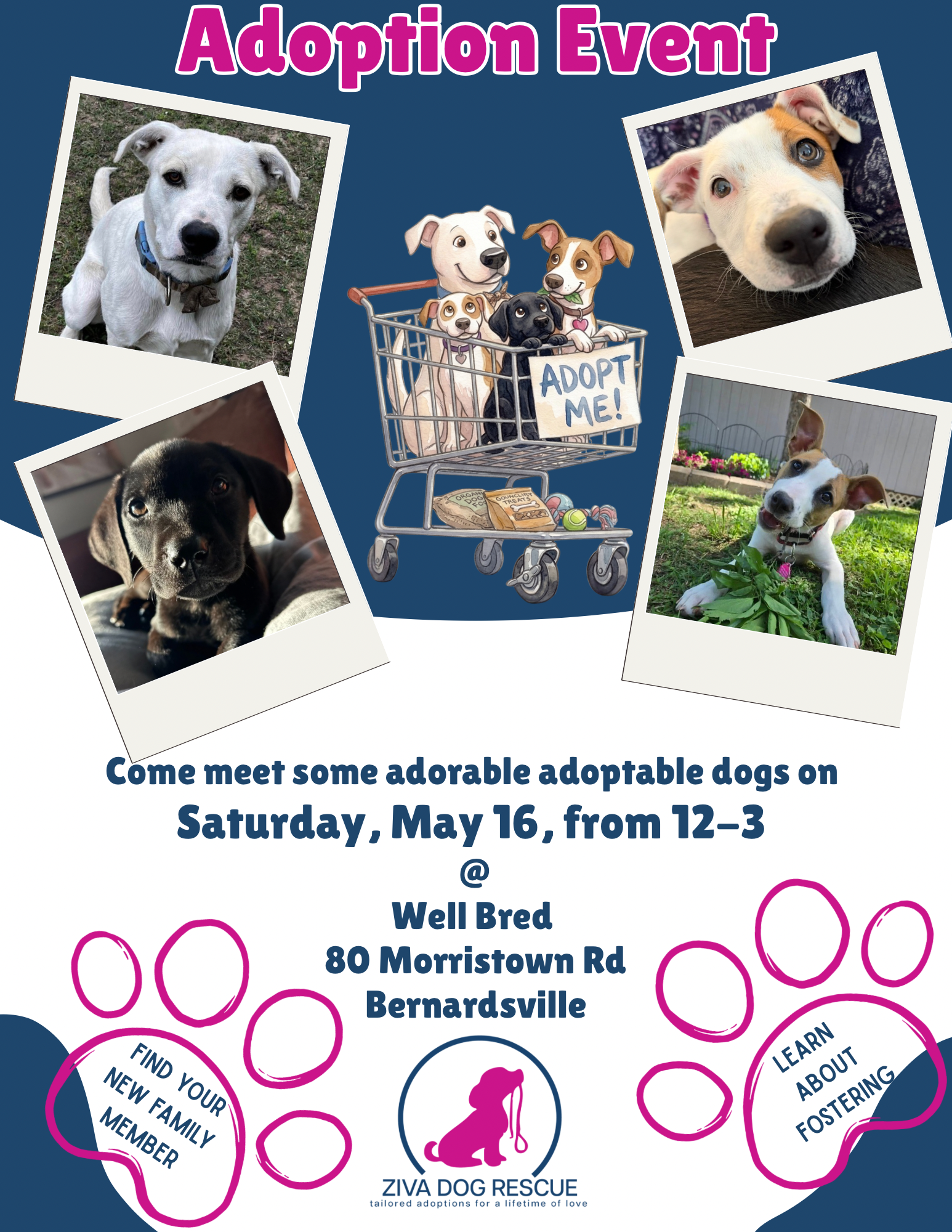 Meet and Greet @ Well Bred Bernardsville