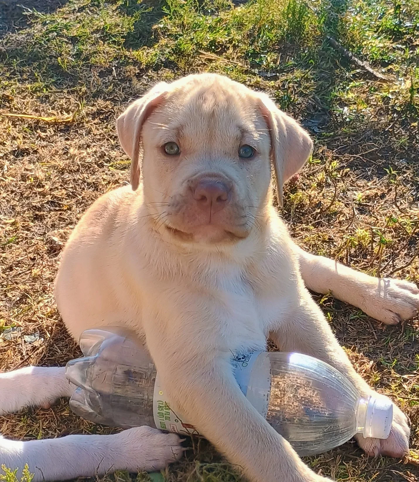 Hudson
