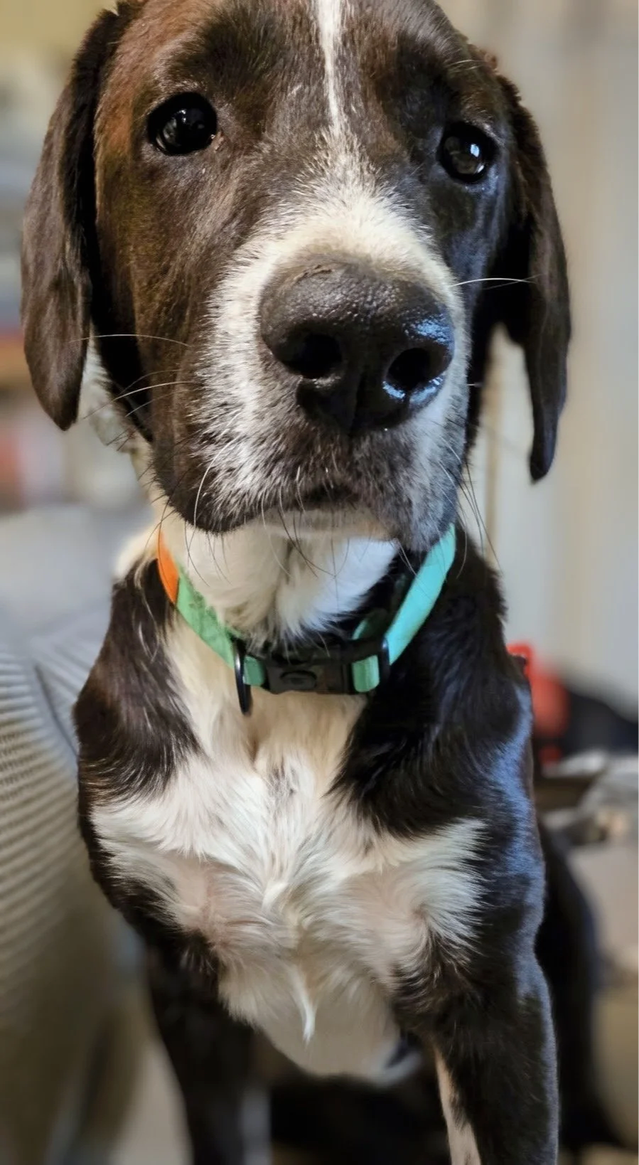 Axle