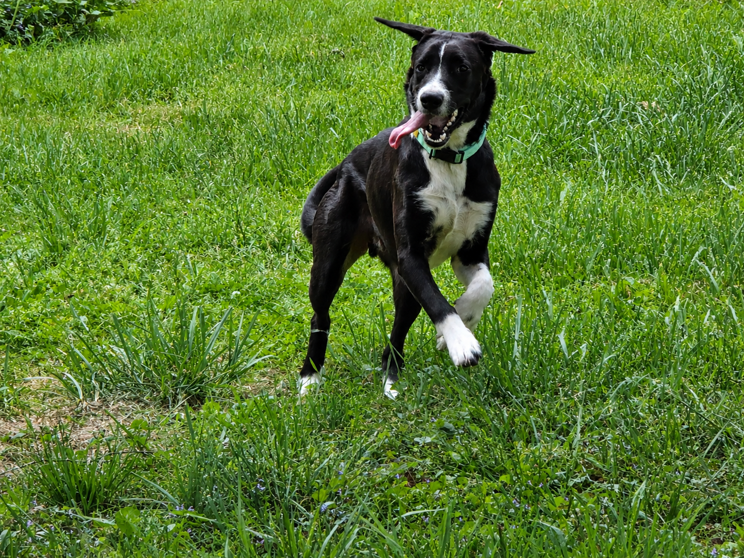 Axle