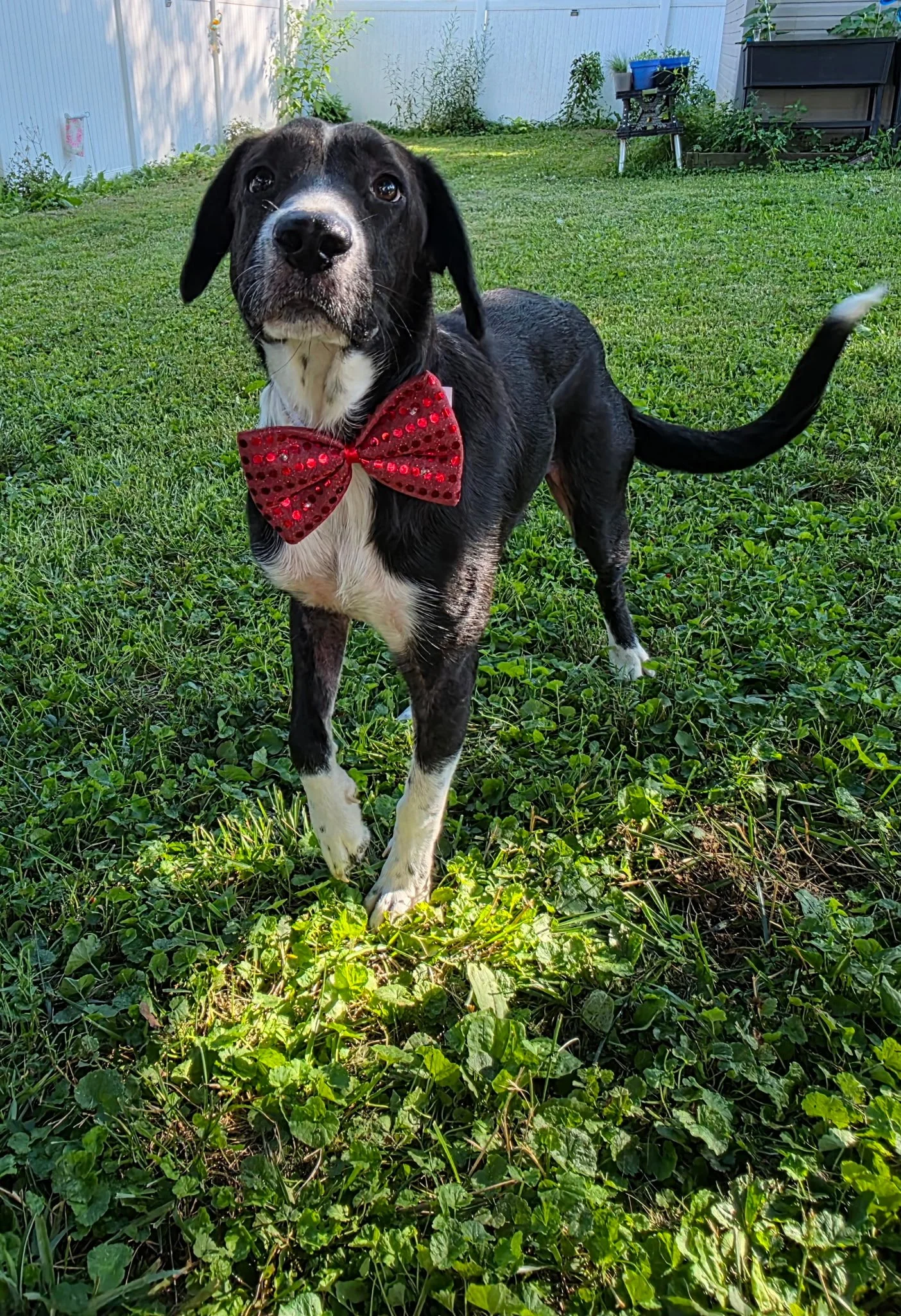 Axle