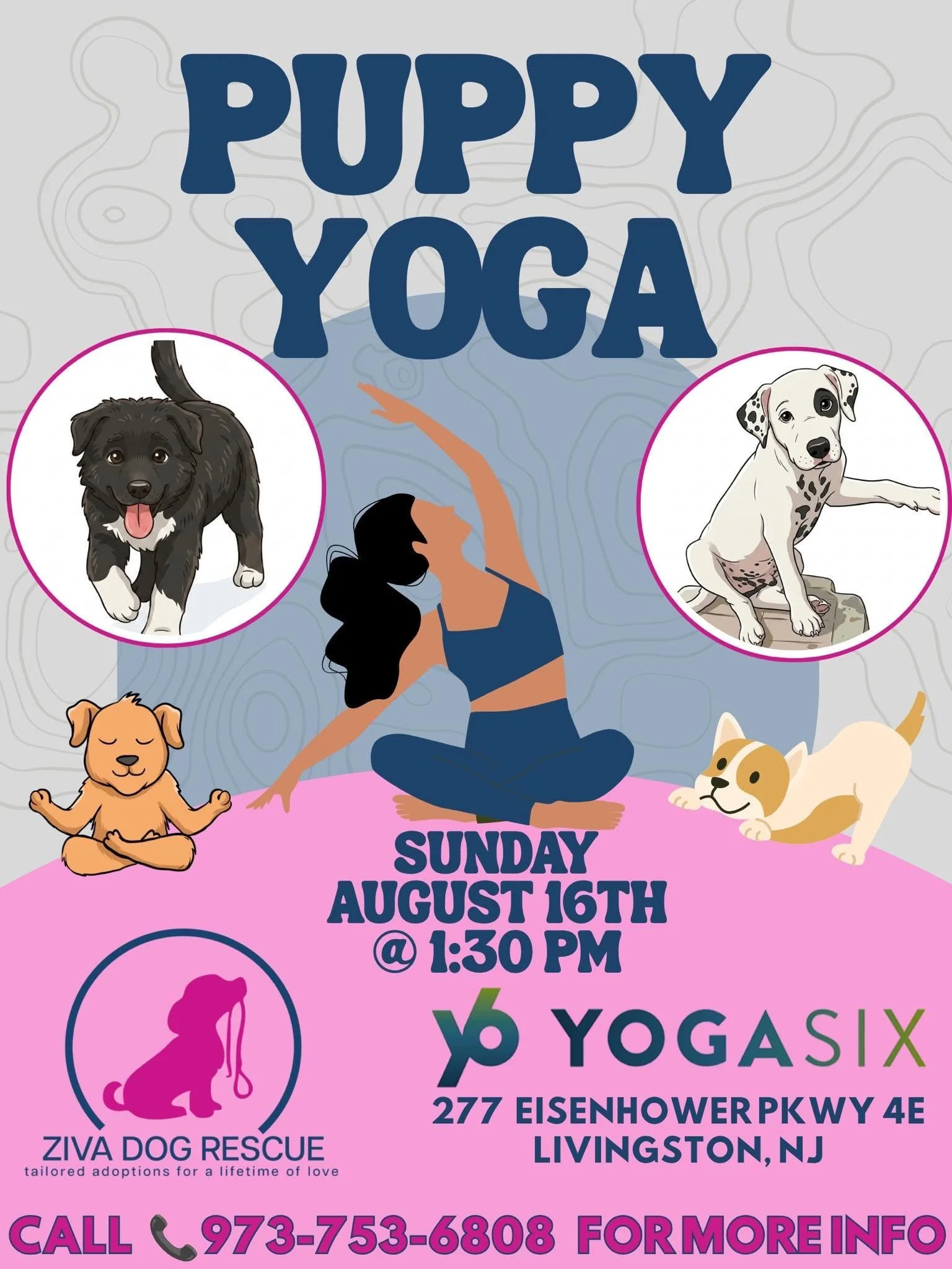 Puppy Yoga @ YogaSix!