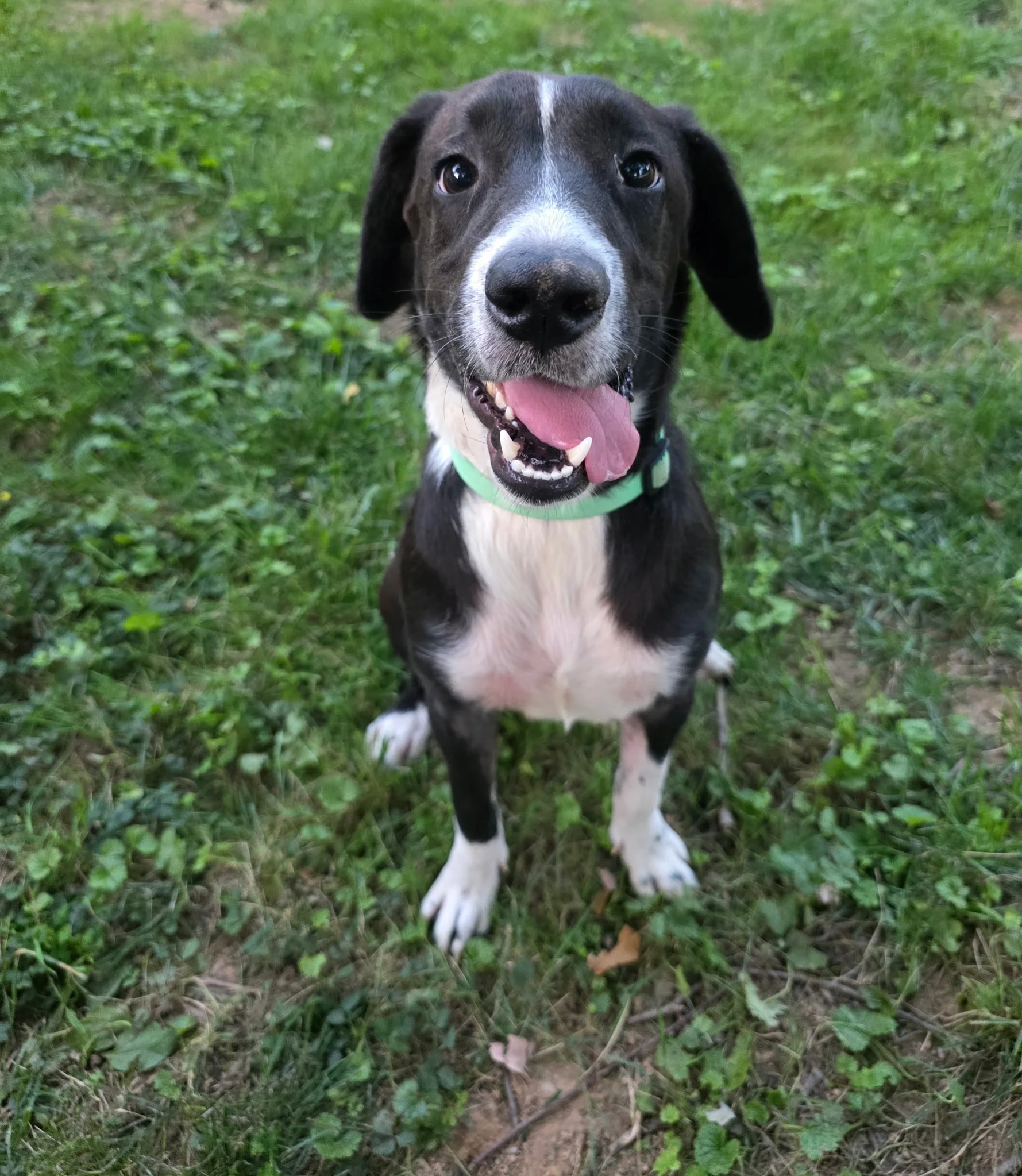Axle