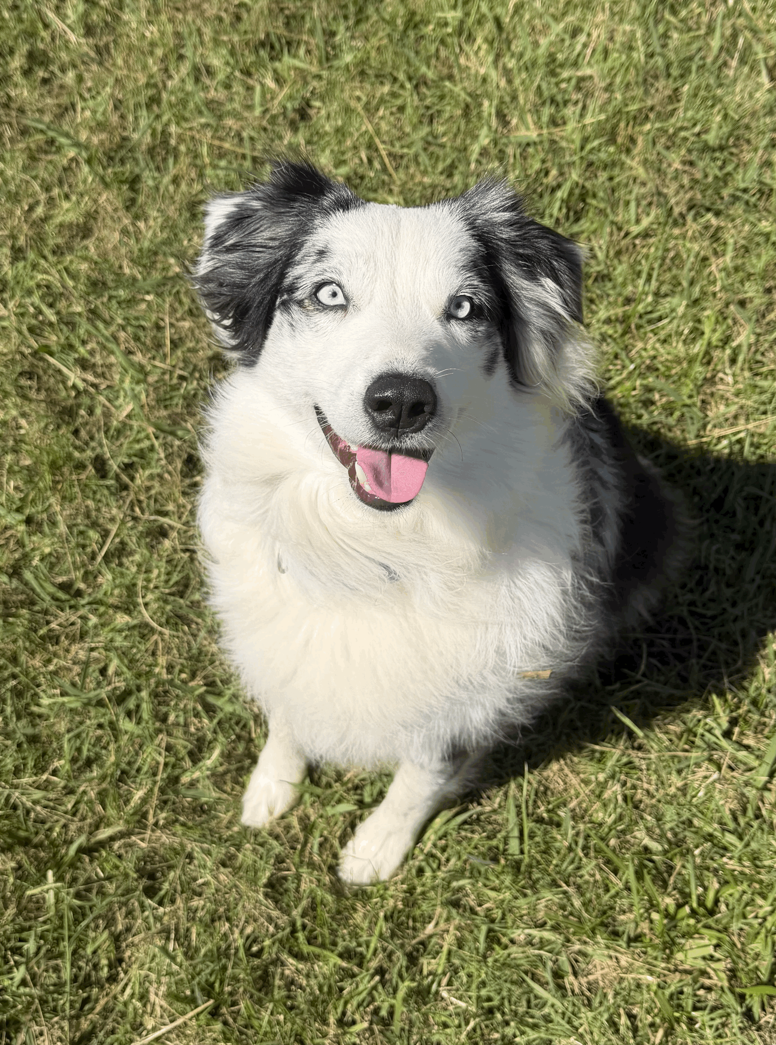 Zoey