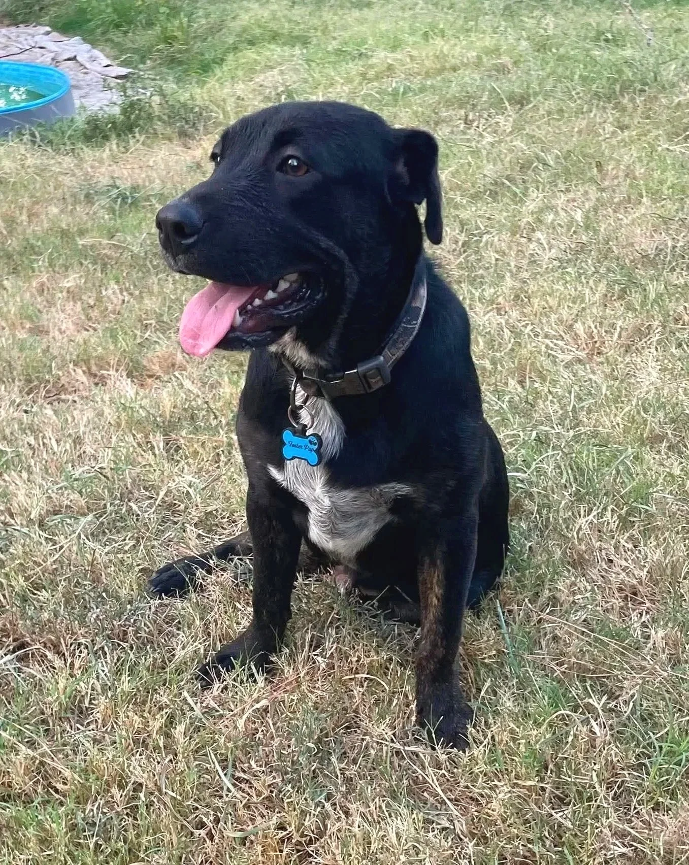 Jett